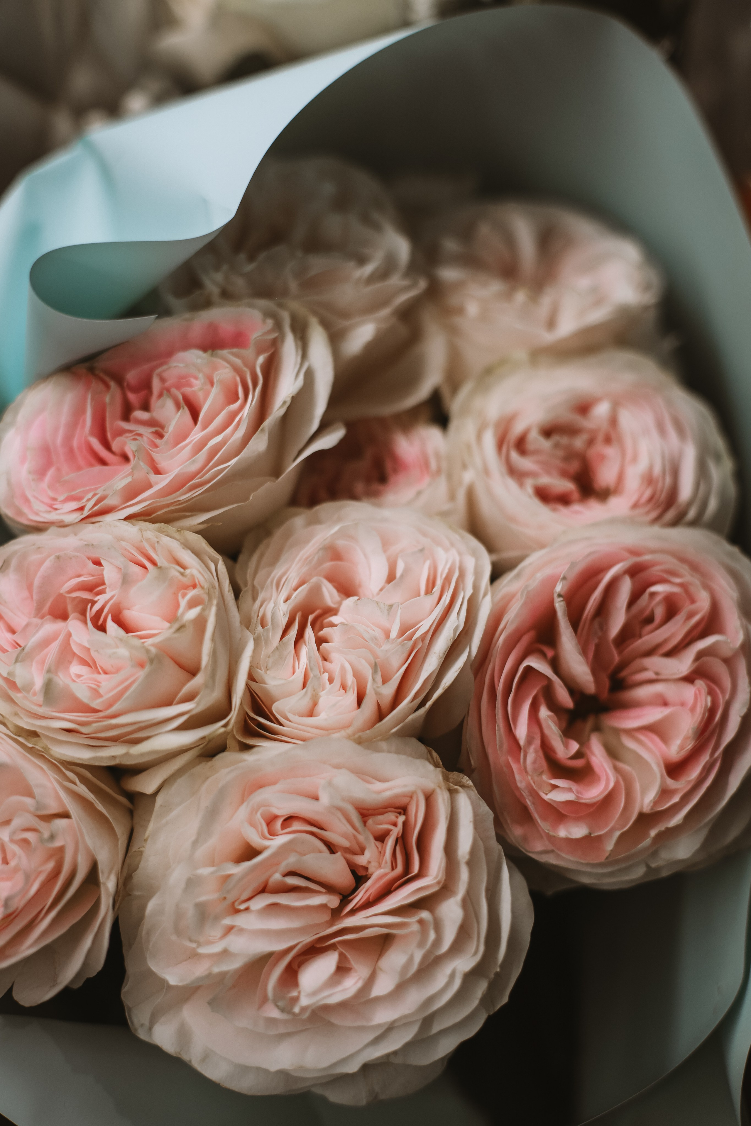 Свадьбы. Семейный и детский фотограф в Санкт-Петербурге «Chilik»