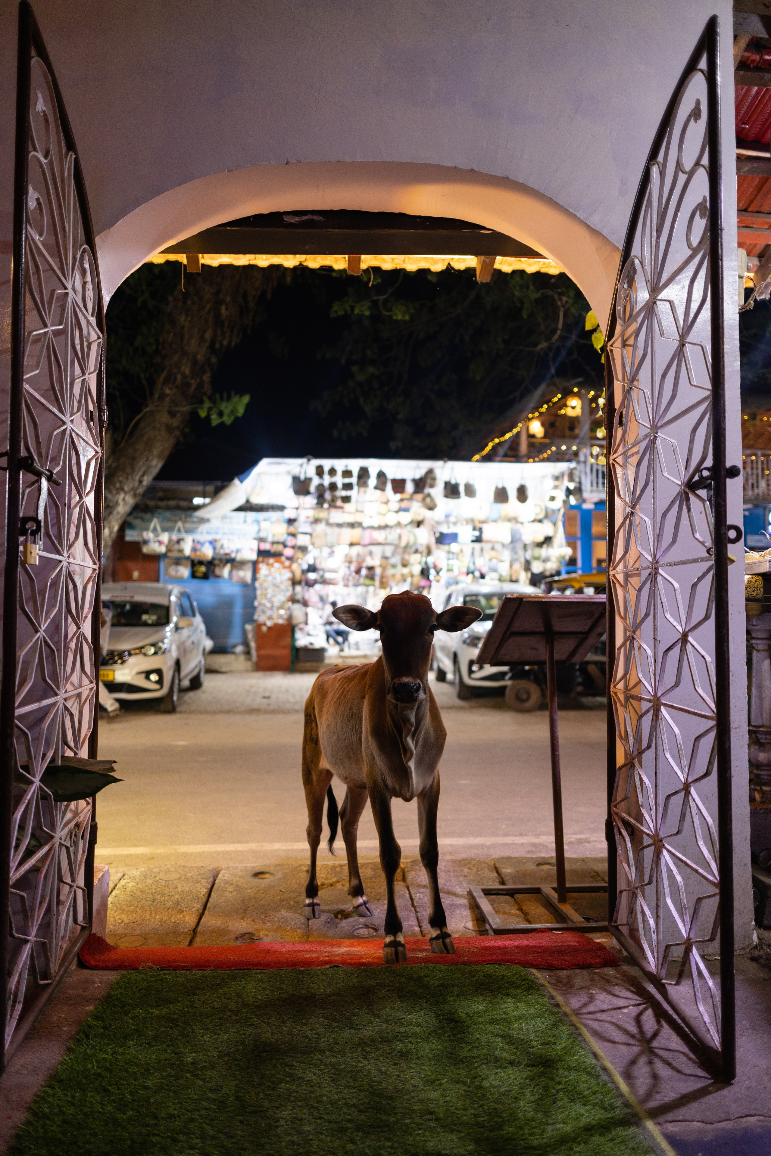 ГОА 2024. Руслан Плахтеев