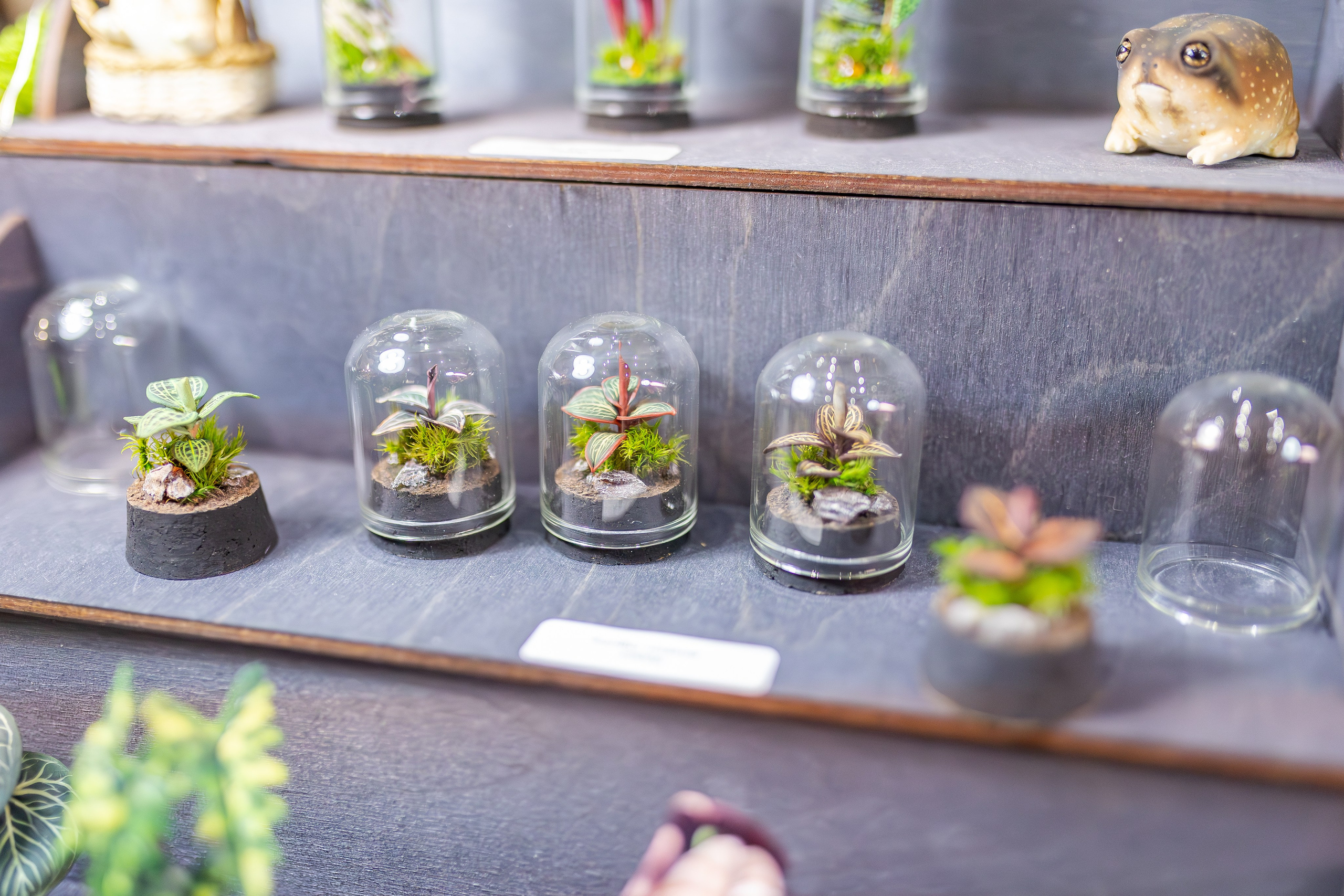 Монстериум апрель 2026. Александра Куликова фотограф, Москва