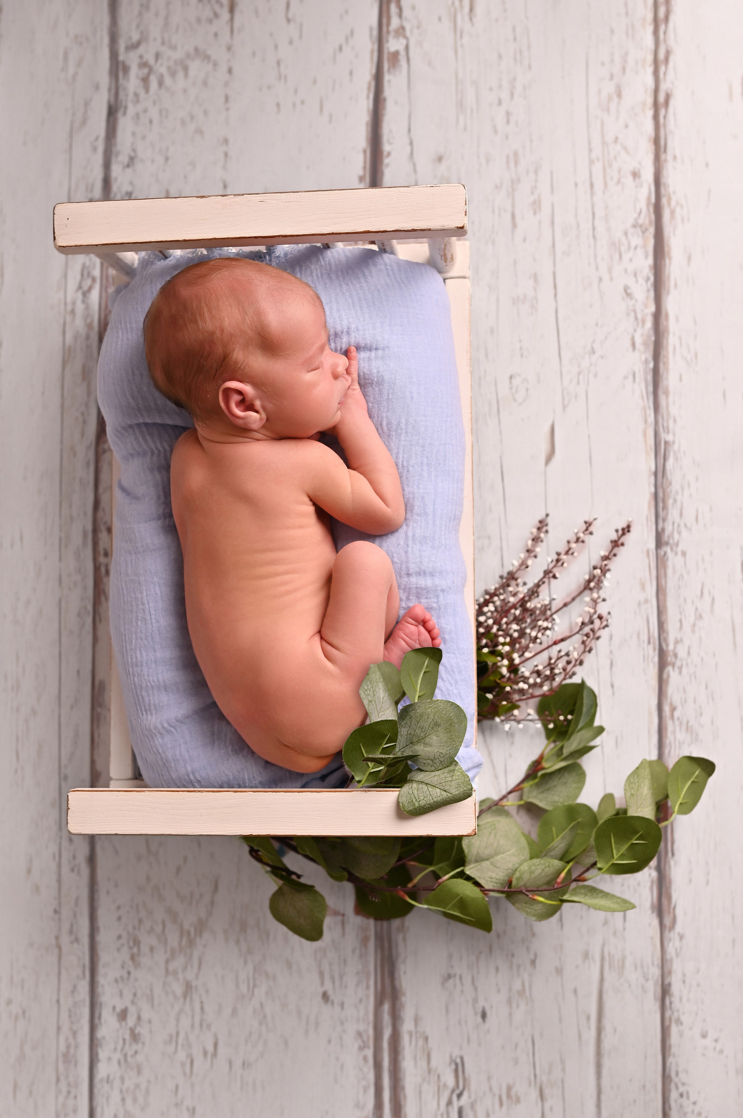 Главная. Профессиональный фотограф новорожденных в Воронеже Виктория Баева