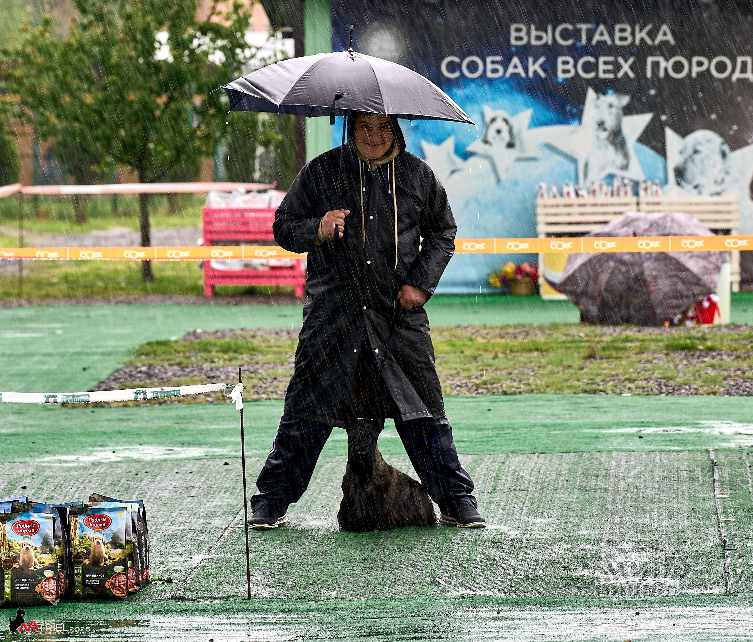 Репортаж с выставки собак