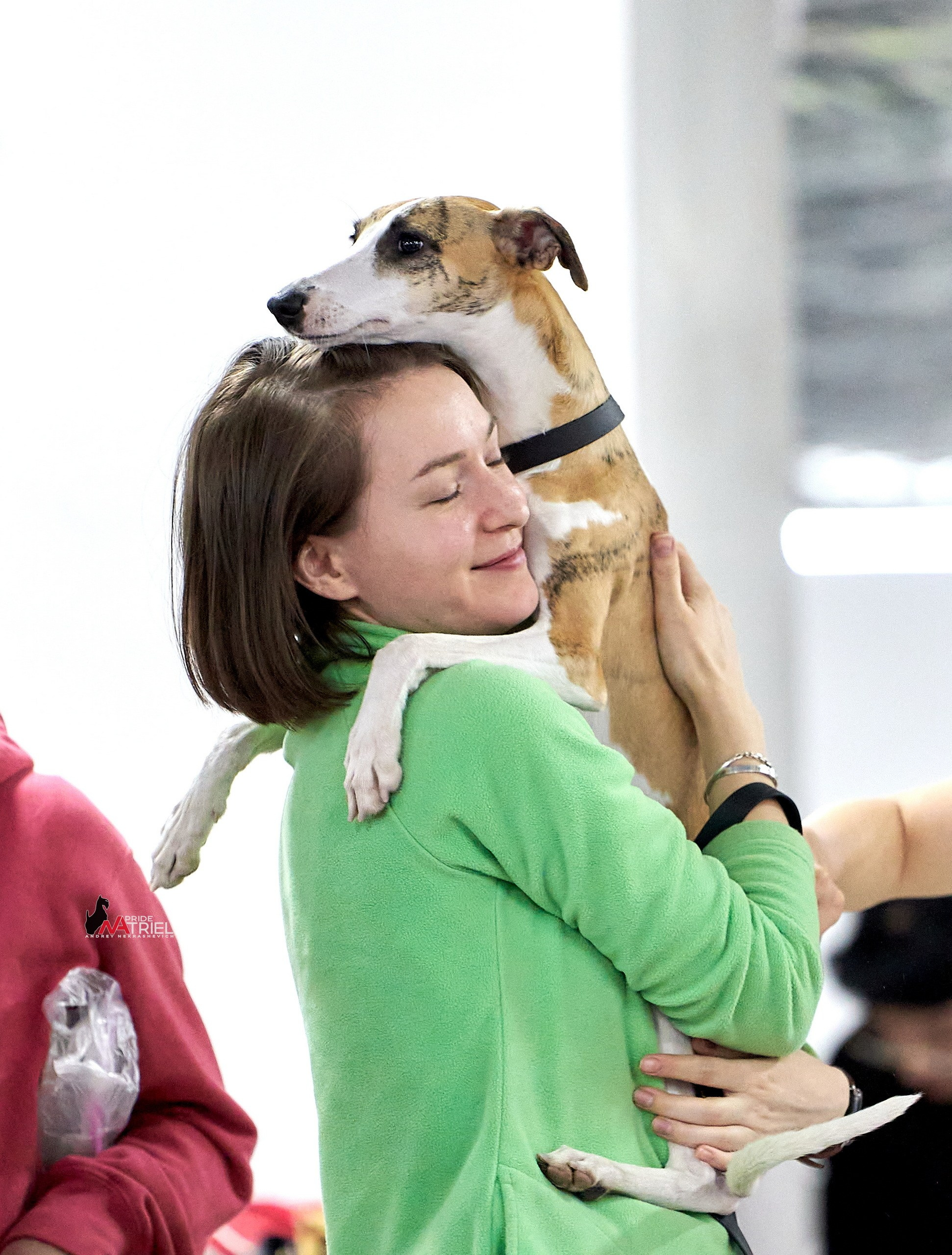 Собаки и Люди — галерея NATRIEL