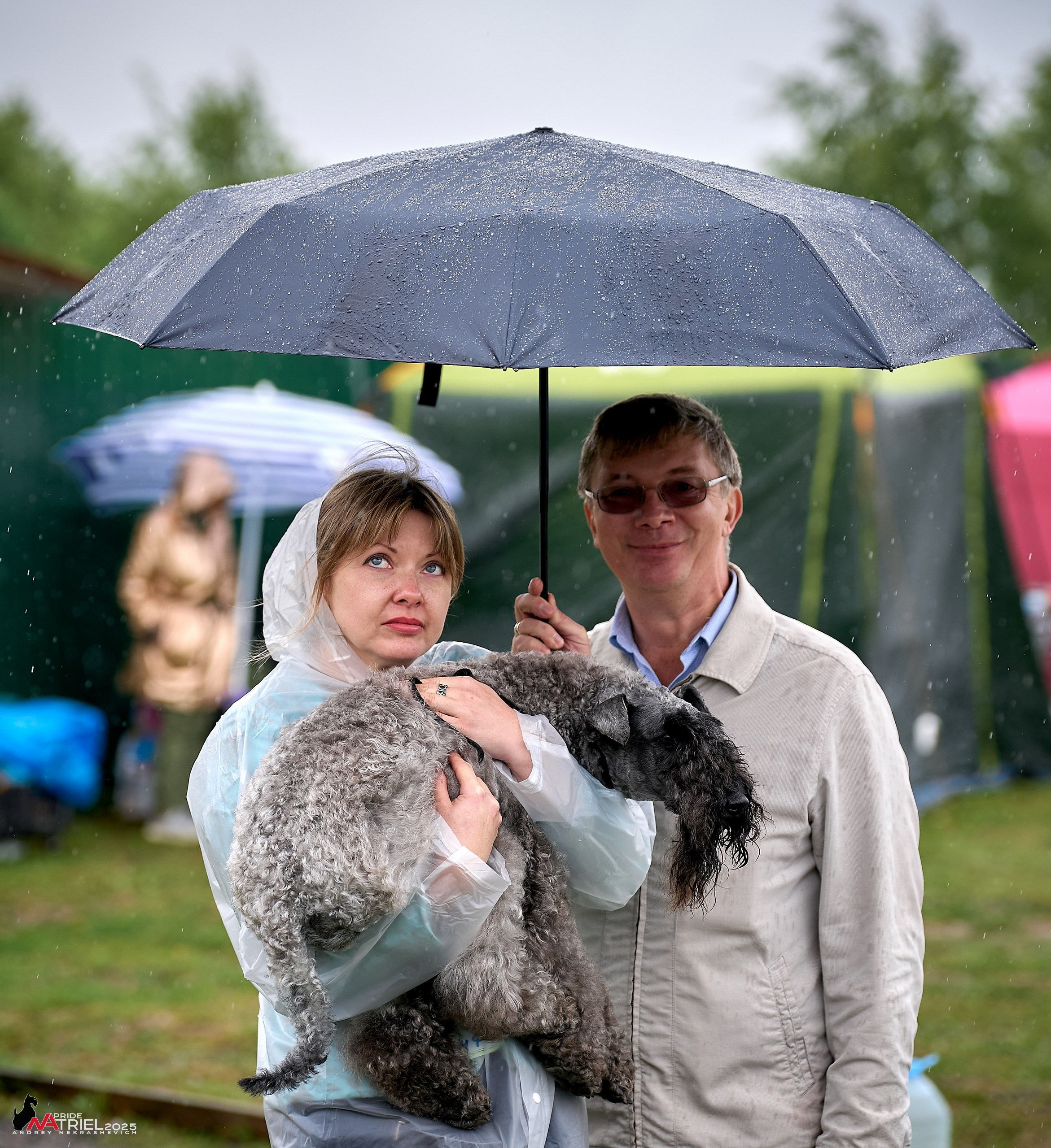 Репортаж с выставки собак