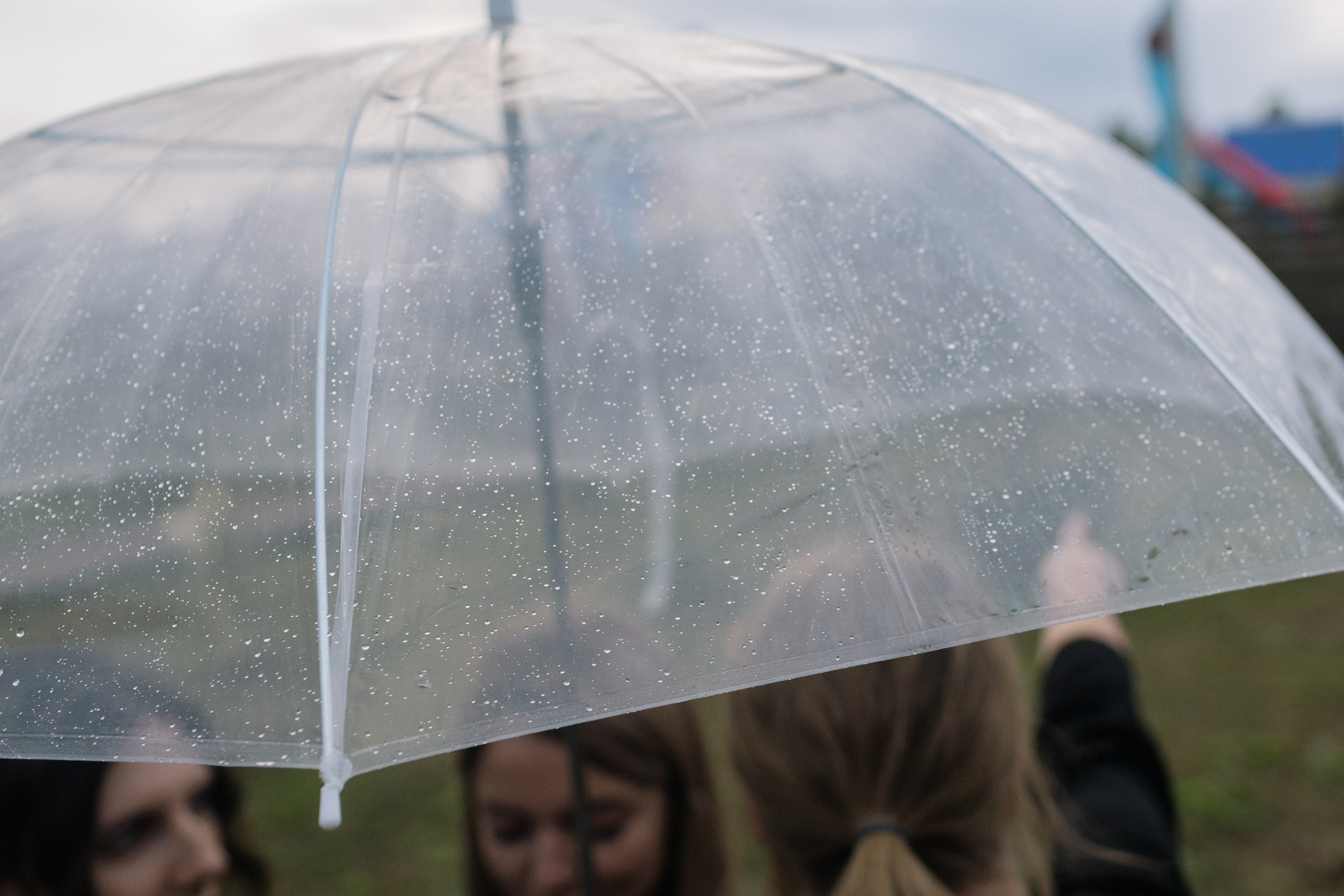 Хитрые Ника и Никита. Портфолио свадебного фотографа. Роман Каргаполов