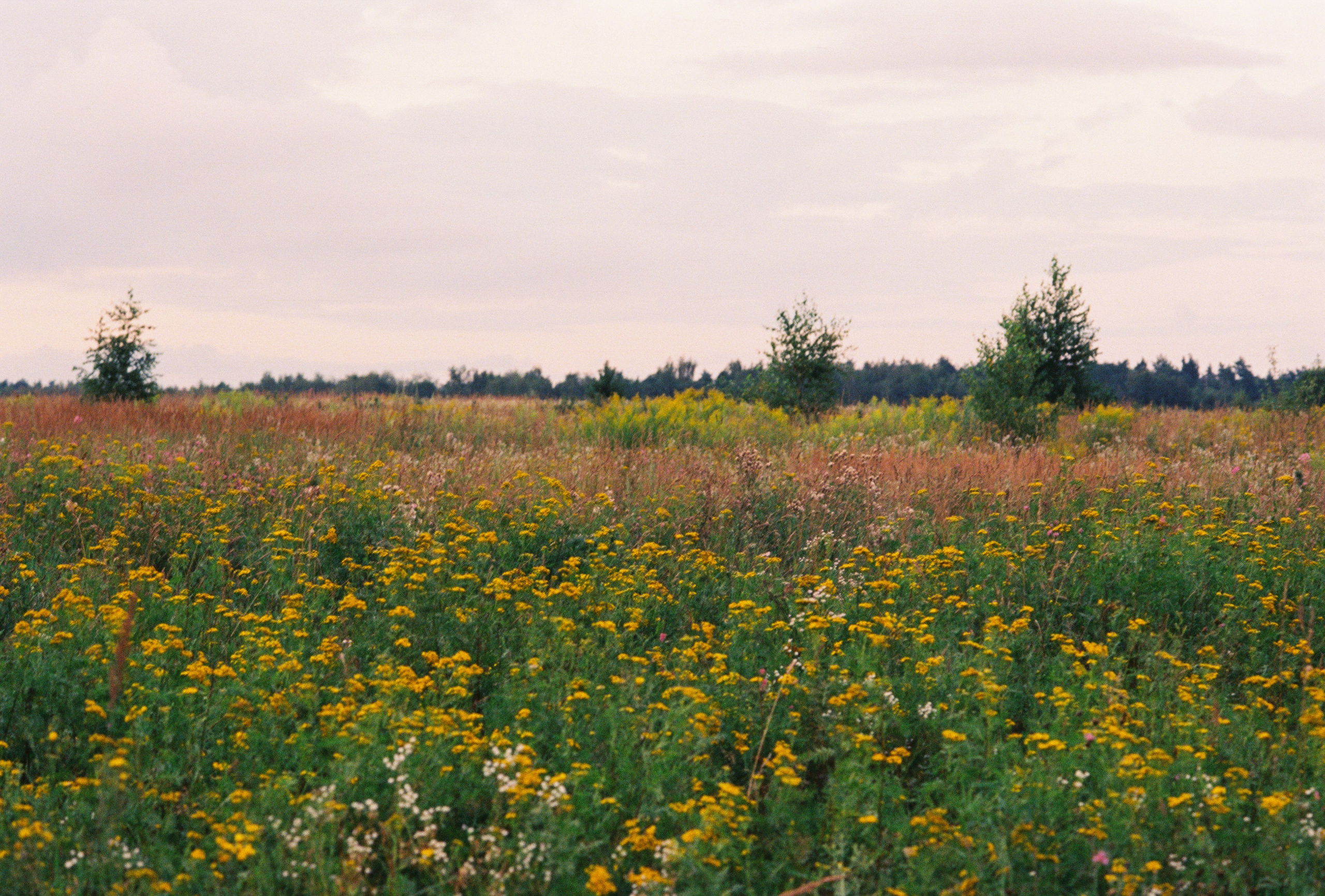 Пленочный фотограф