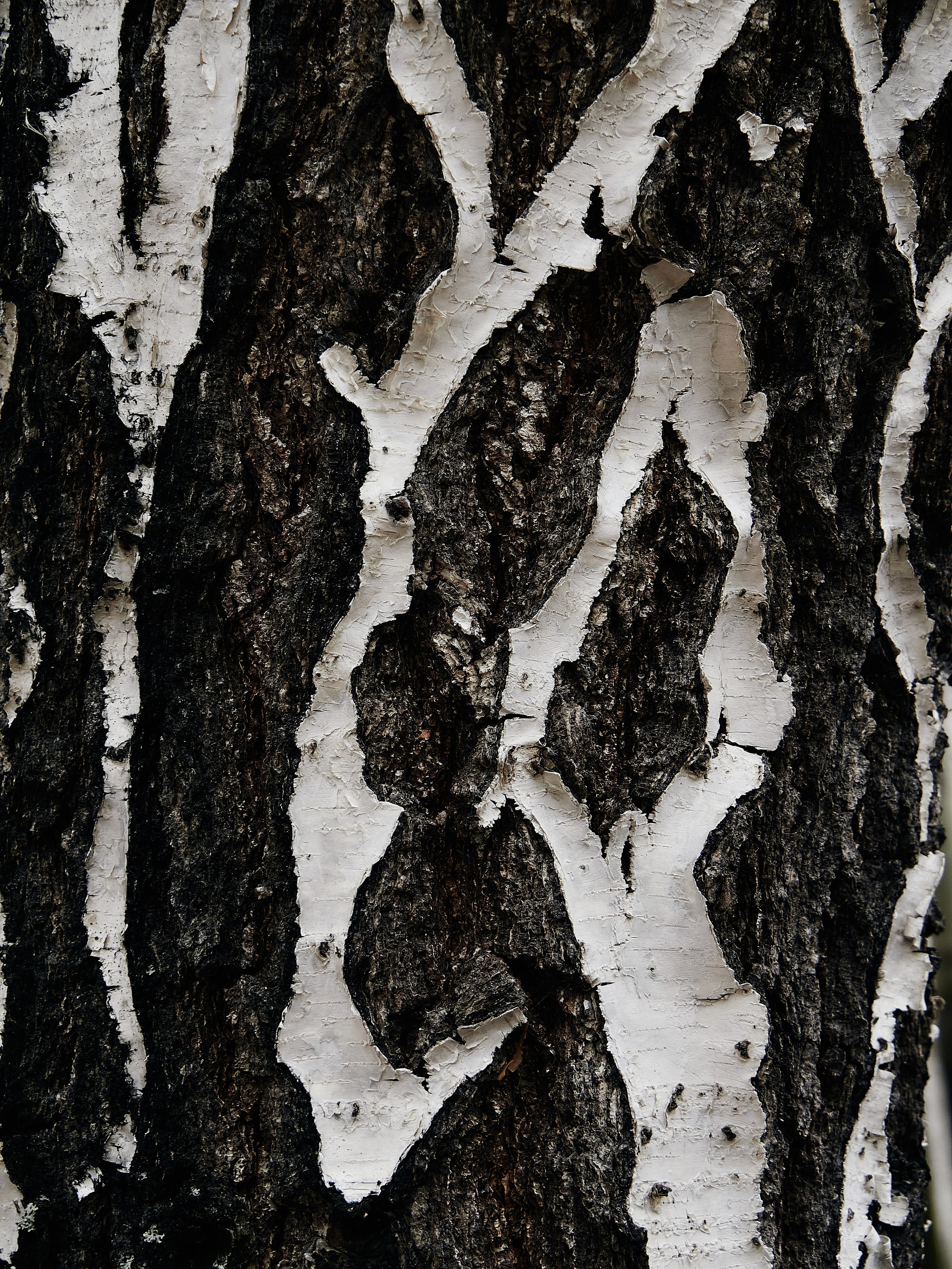 Сайт в процессе разработки