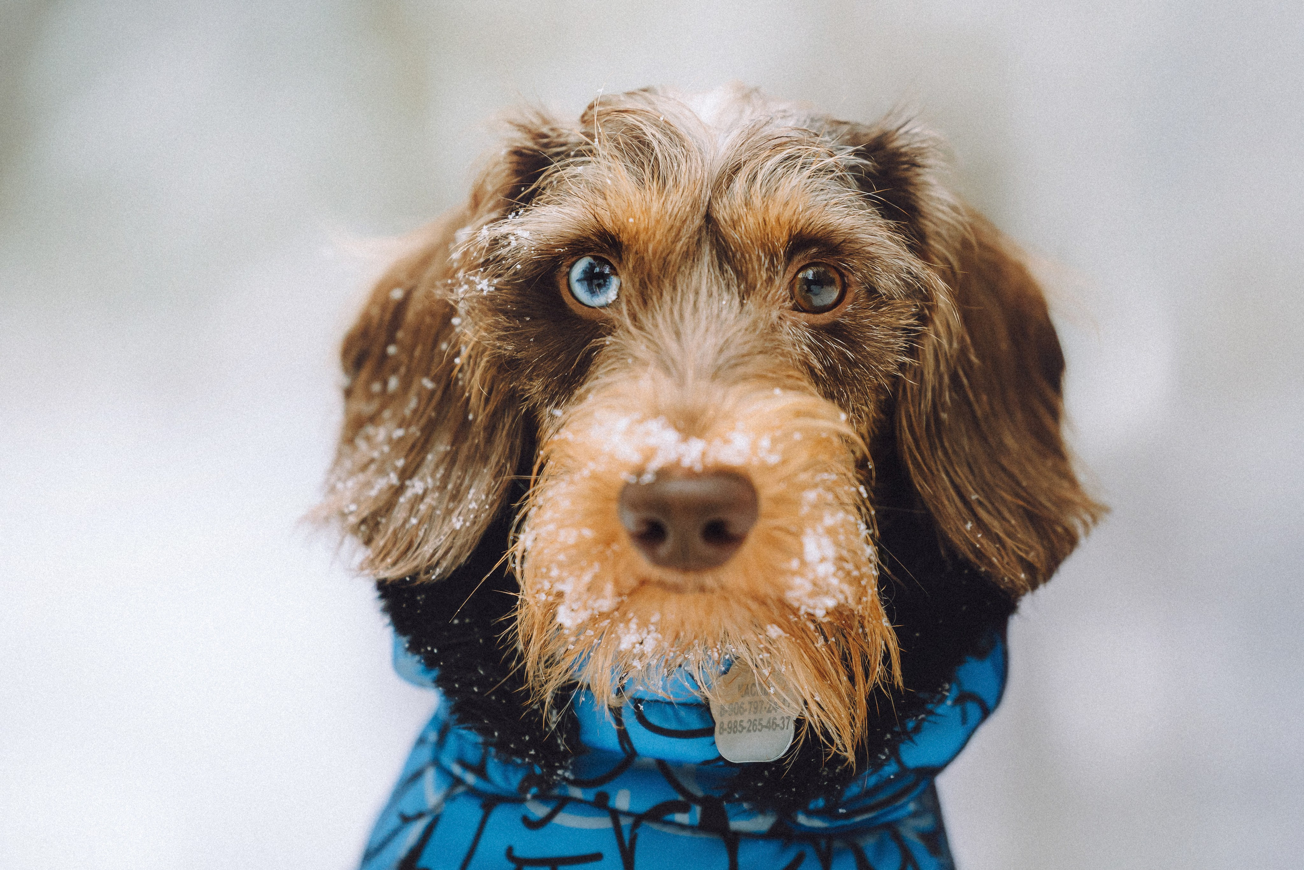 Каспер и его семья