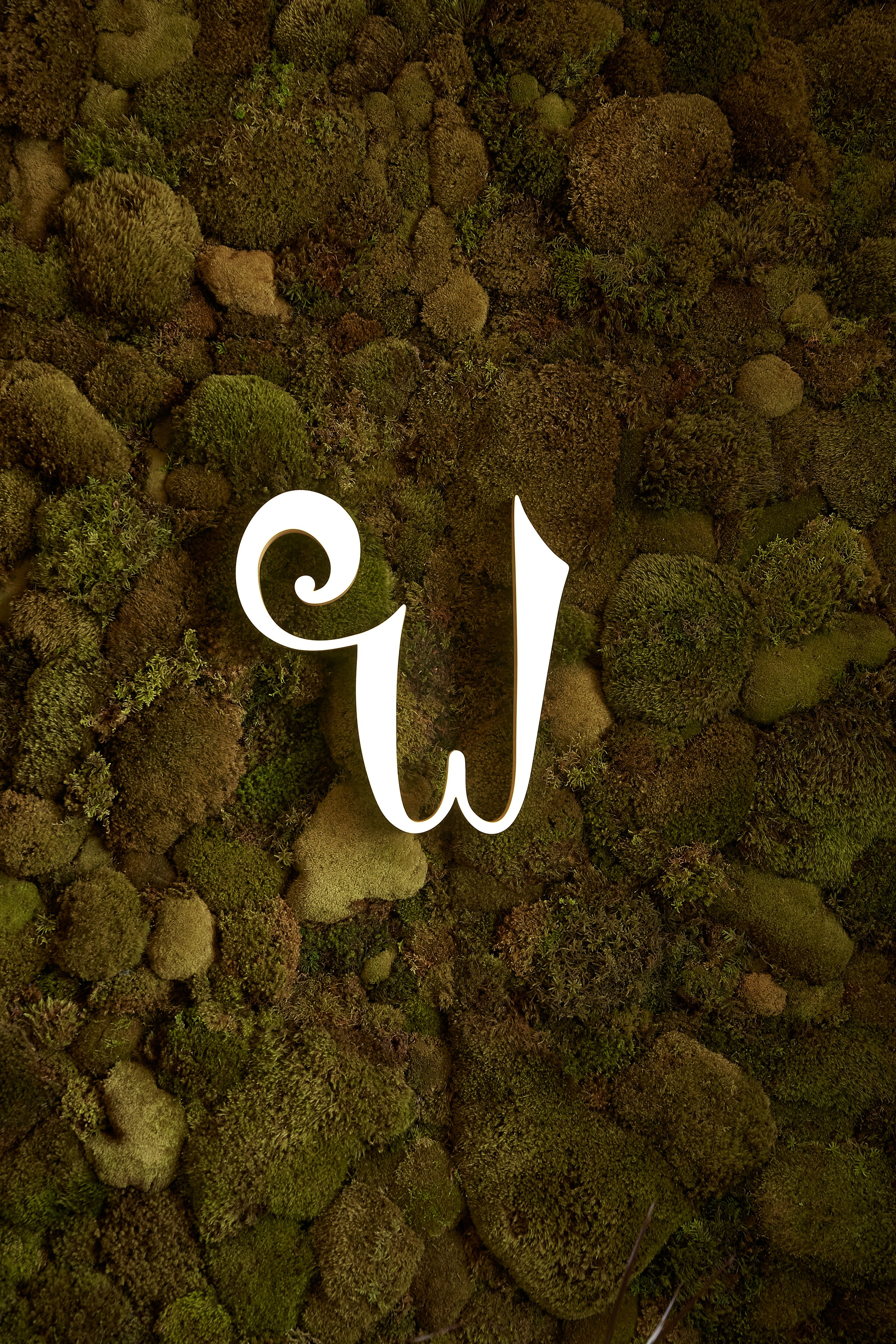 Бизнес съёмка для детского садика Wonderland. Мартазова Екатерина фотограф. Екатеринбург