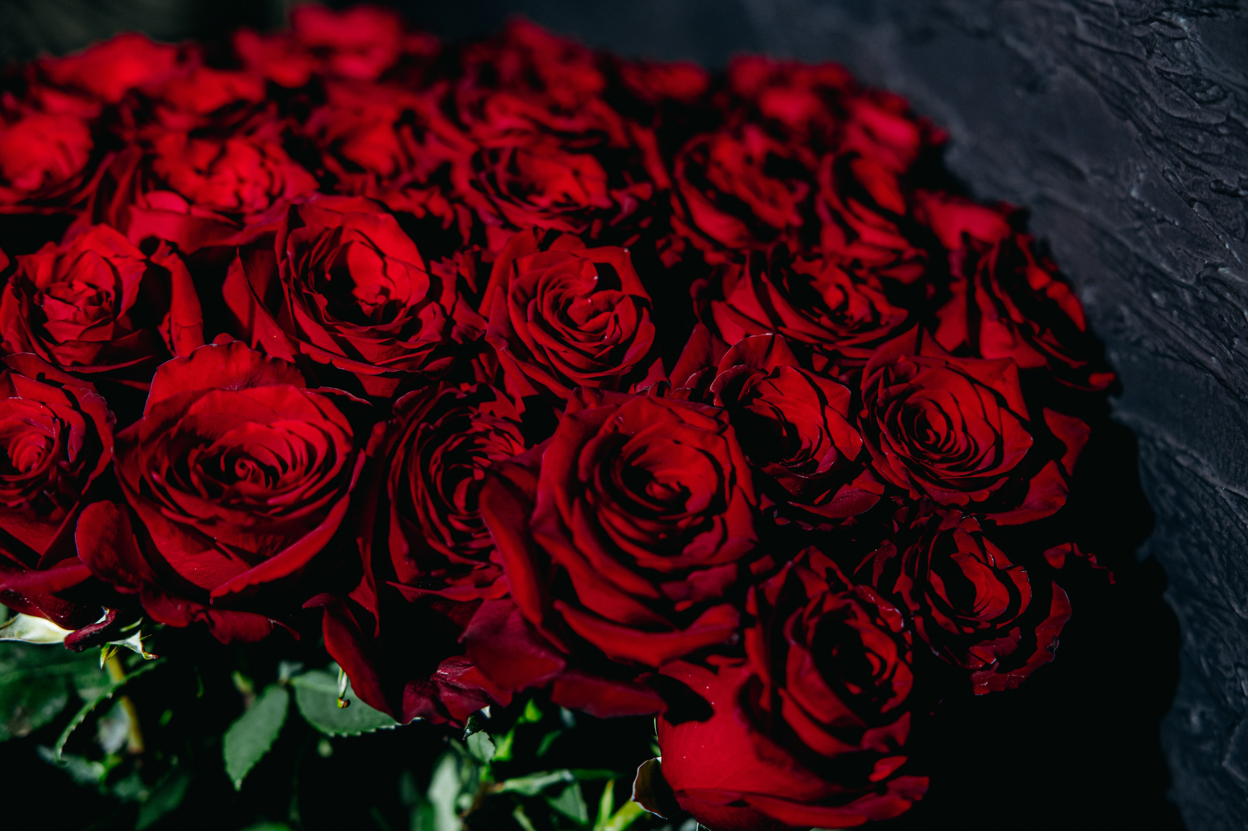 Творческий вечер. Фотограф в Саратове Александр Кухаренко. И не только в Саратове :)