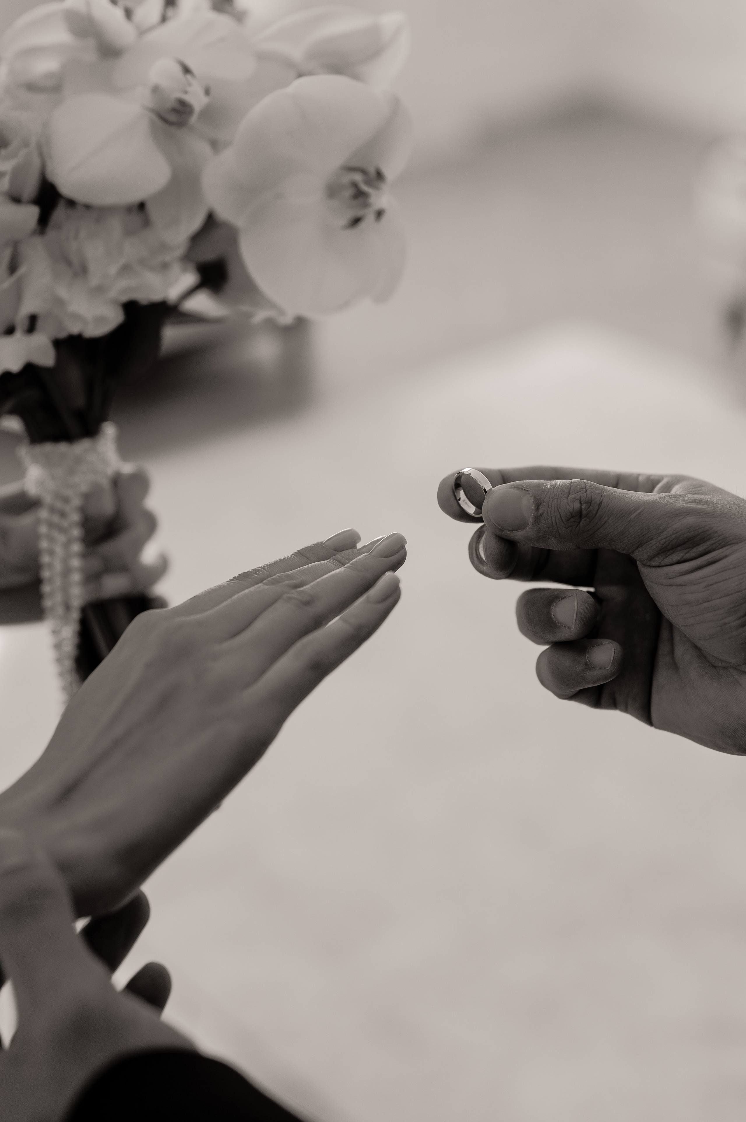 Павел и Полина. Свадебный и семейный фотограф в Краснодаре Алина Мельник