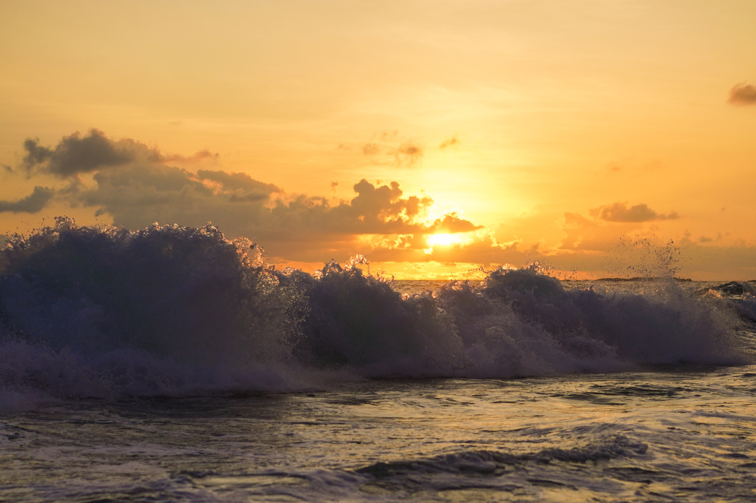 Остров Шри-Ланка. Фотограф Сергей Кишкель Дананг Нячанг Фукуок