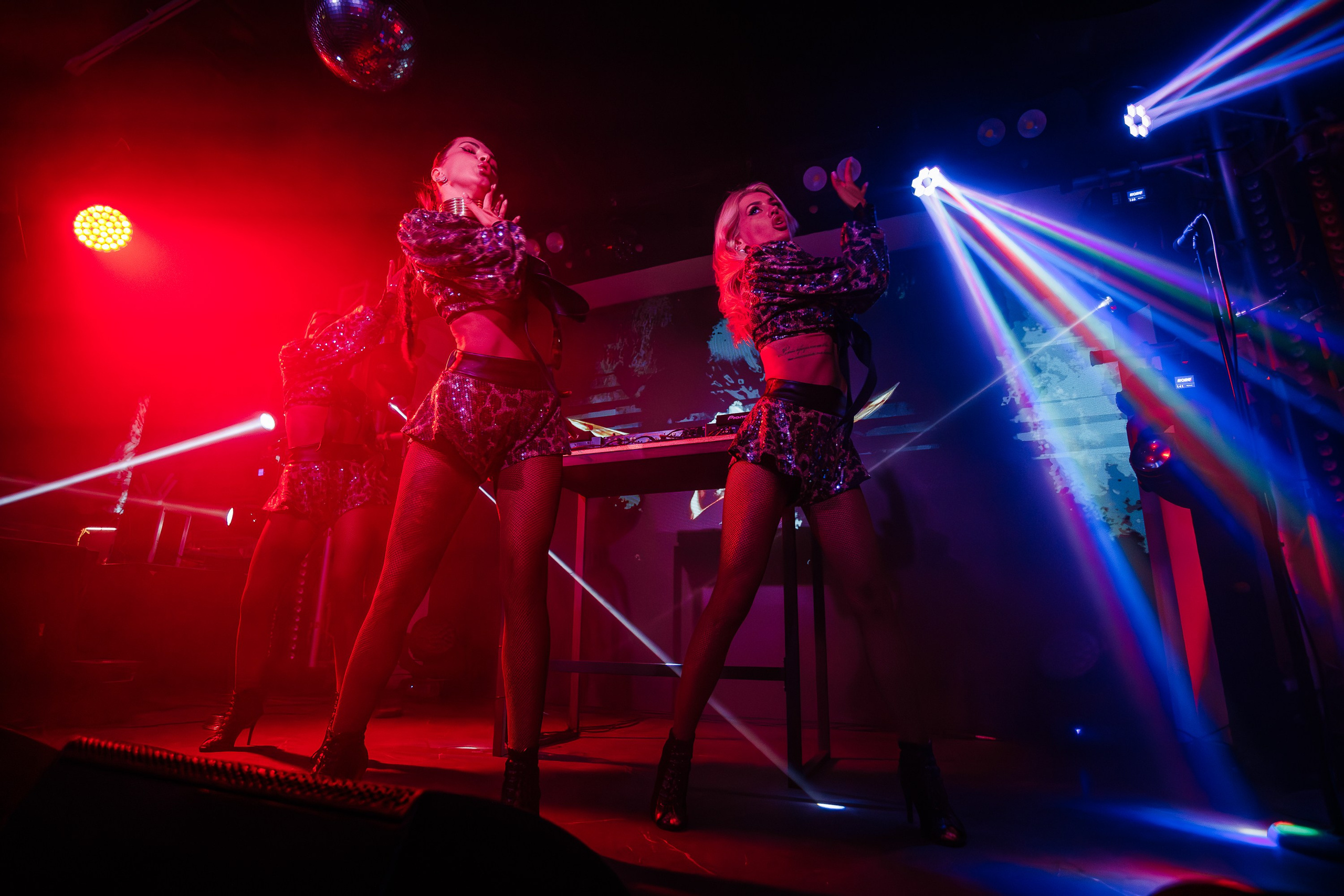 «КРАВЦ"_Чайка на пляже_Ялта_27.08.2025 г. Аминов Руслан | Фотограф