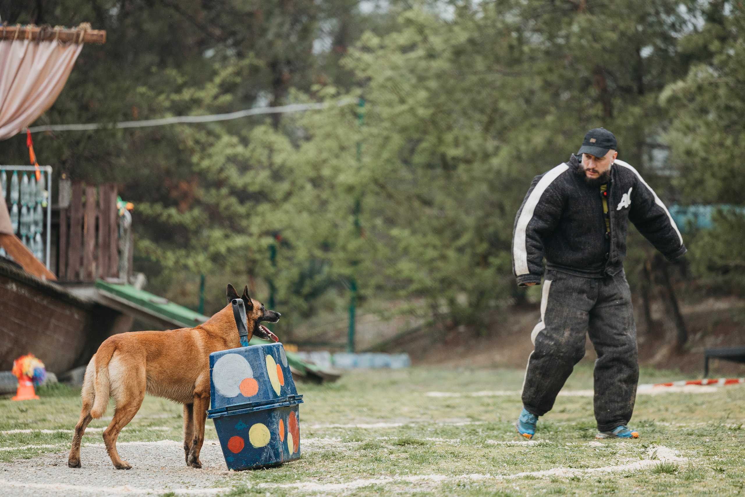 Геленджик Мондьоринг. Фотограф-анималист Анна Маринич