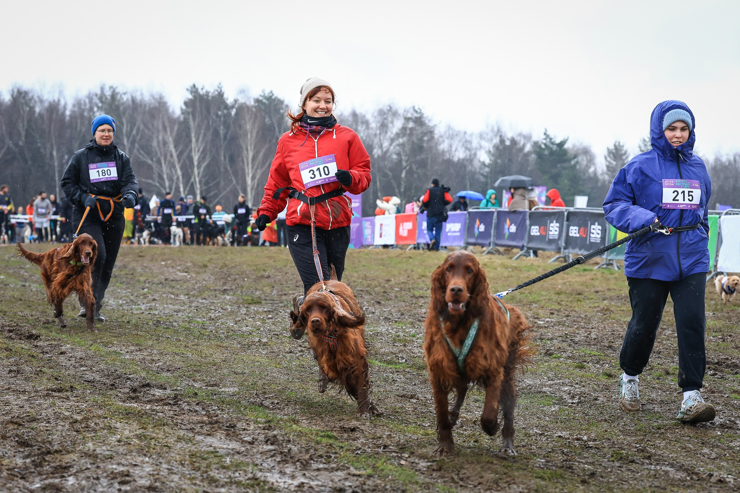 Быстрый Пёс!. Свадебная фотосъёмка в Москве, Туле