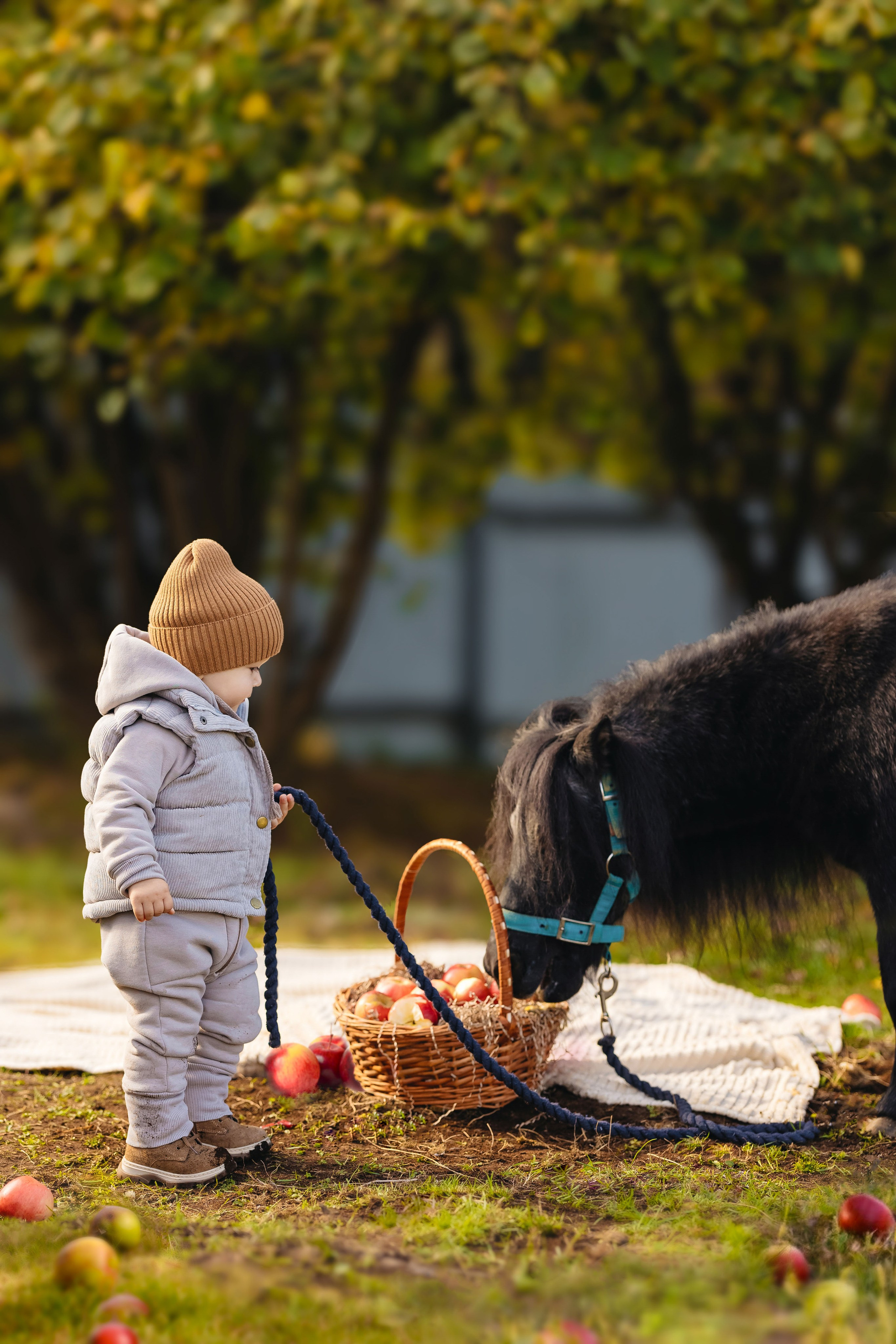 2024.10.02 Илья и лошадка. Ирина Бешляга. Фотограф в Москве и по всей России