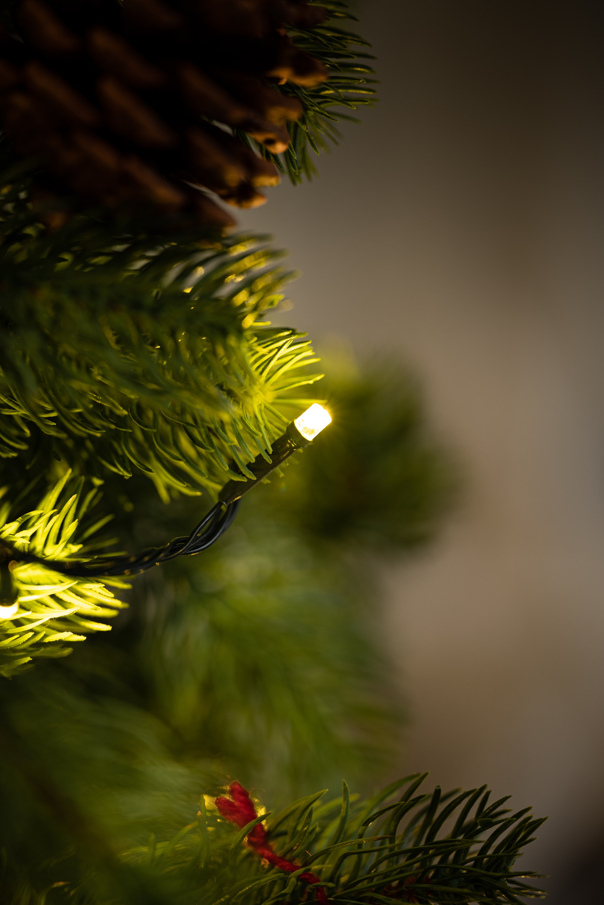 Детальная фотография гирлянды.