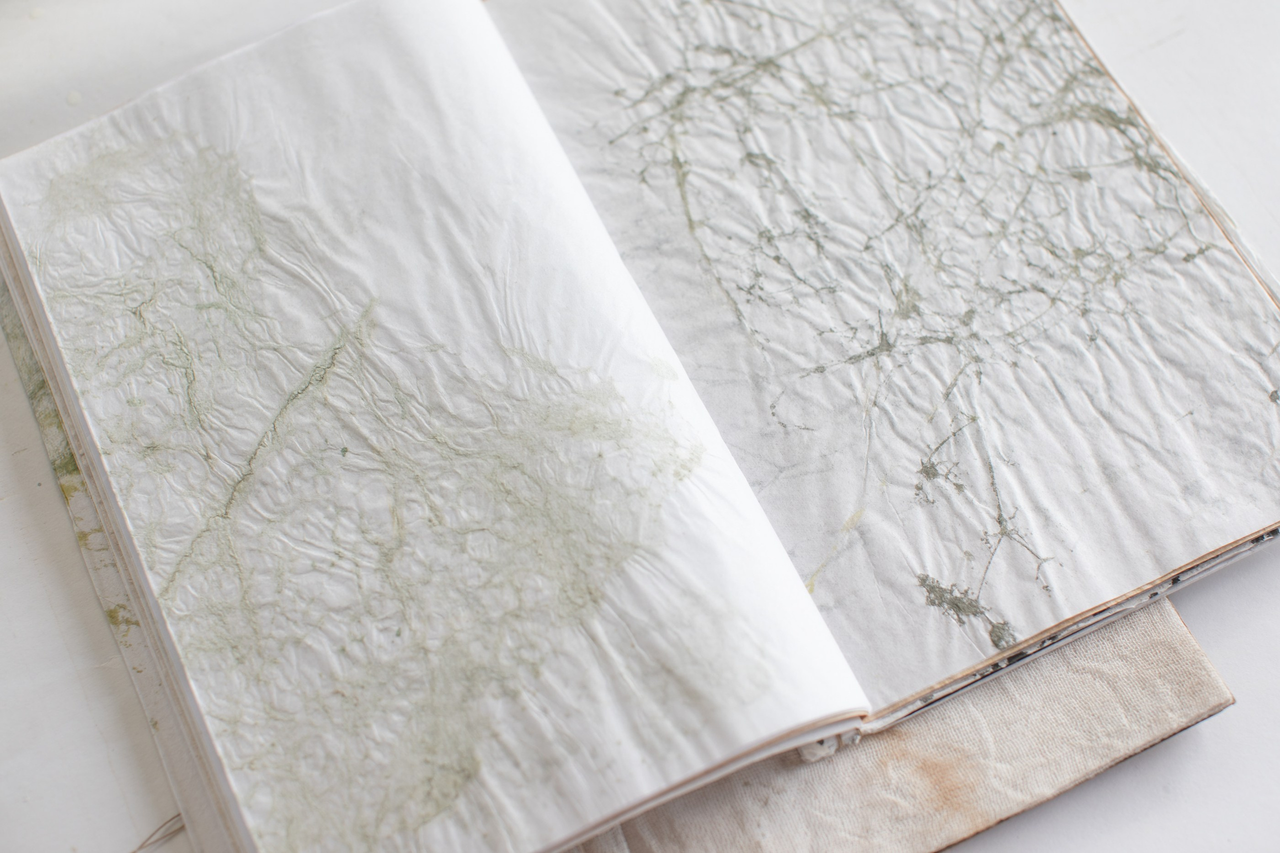 Подсосенские тетради