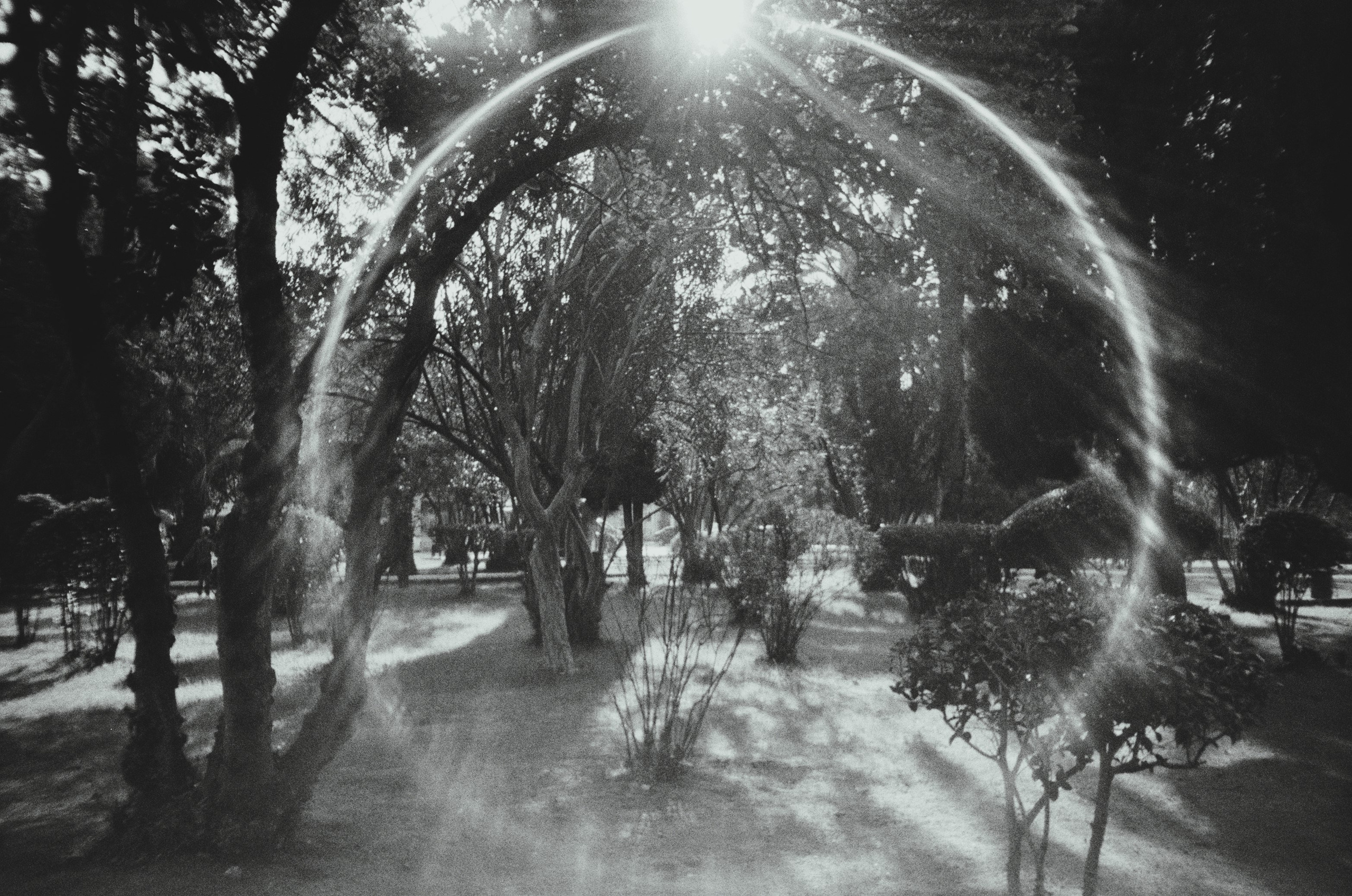 Пейзажи. Фотограф Димитровград Казань Валерия Владимиркина