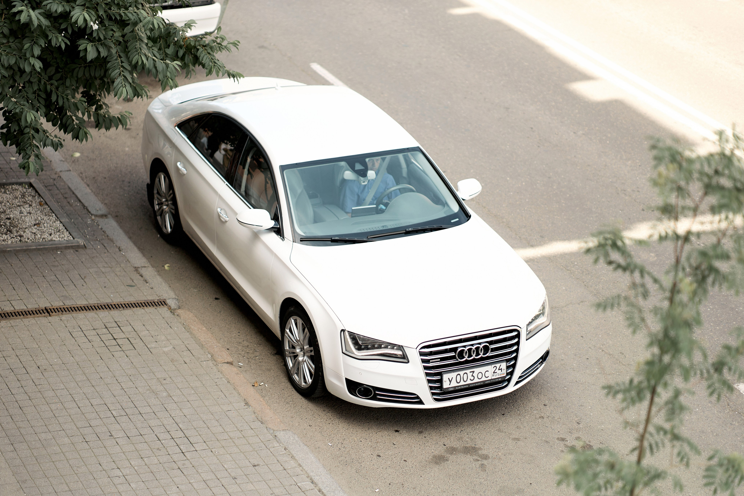 Наш День. Свадебный фотограф в Красноярске Владимир Ятмасов