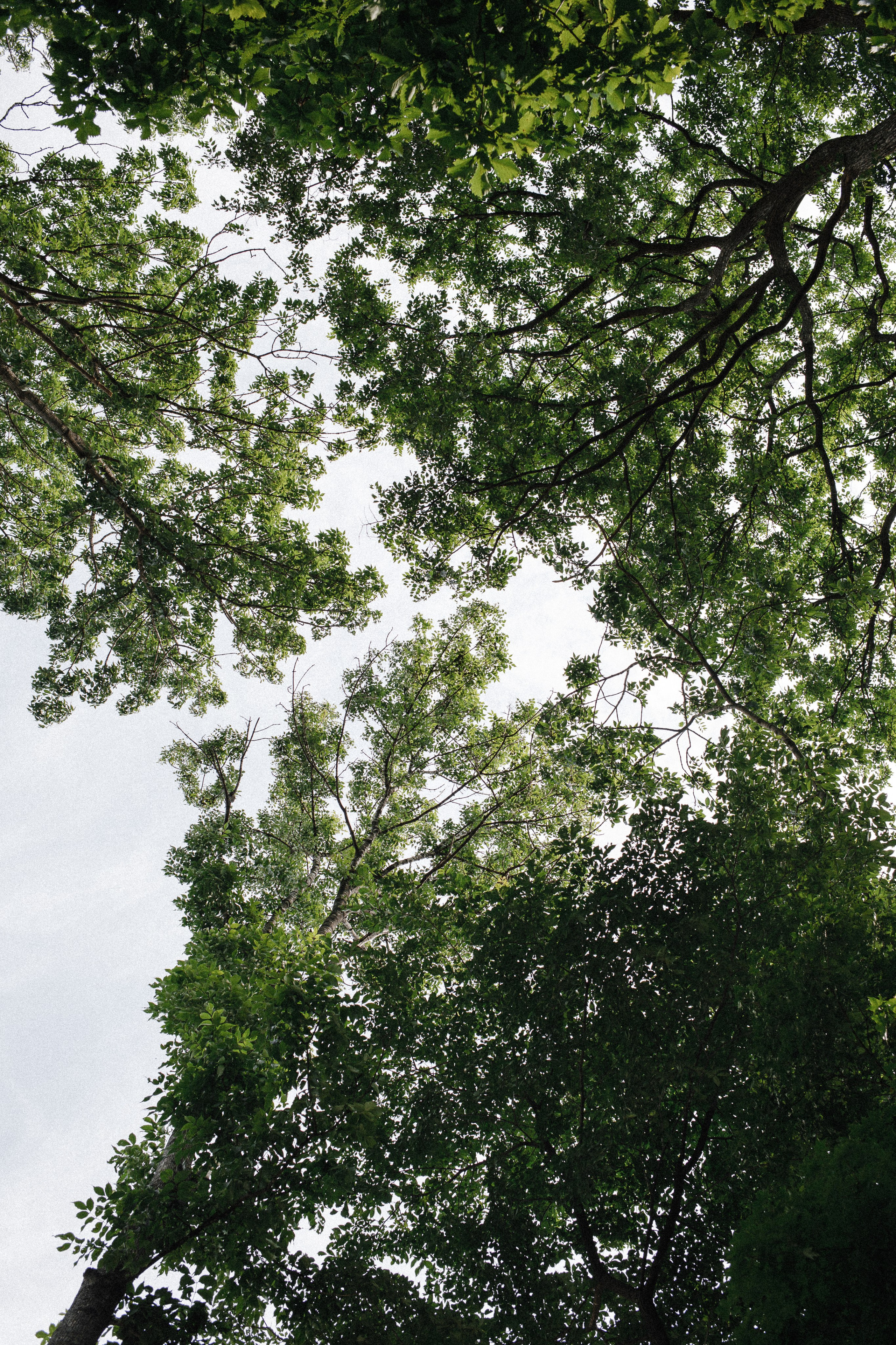 Геннадий и Наталья. Свадебный и семейный фотограф во Владивостоке Овчинникова Дарья