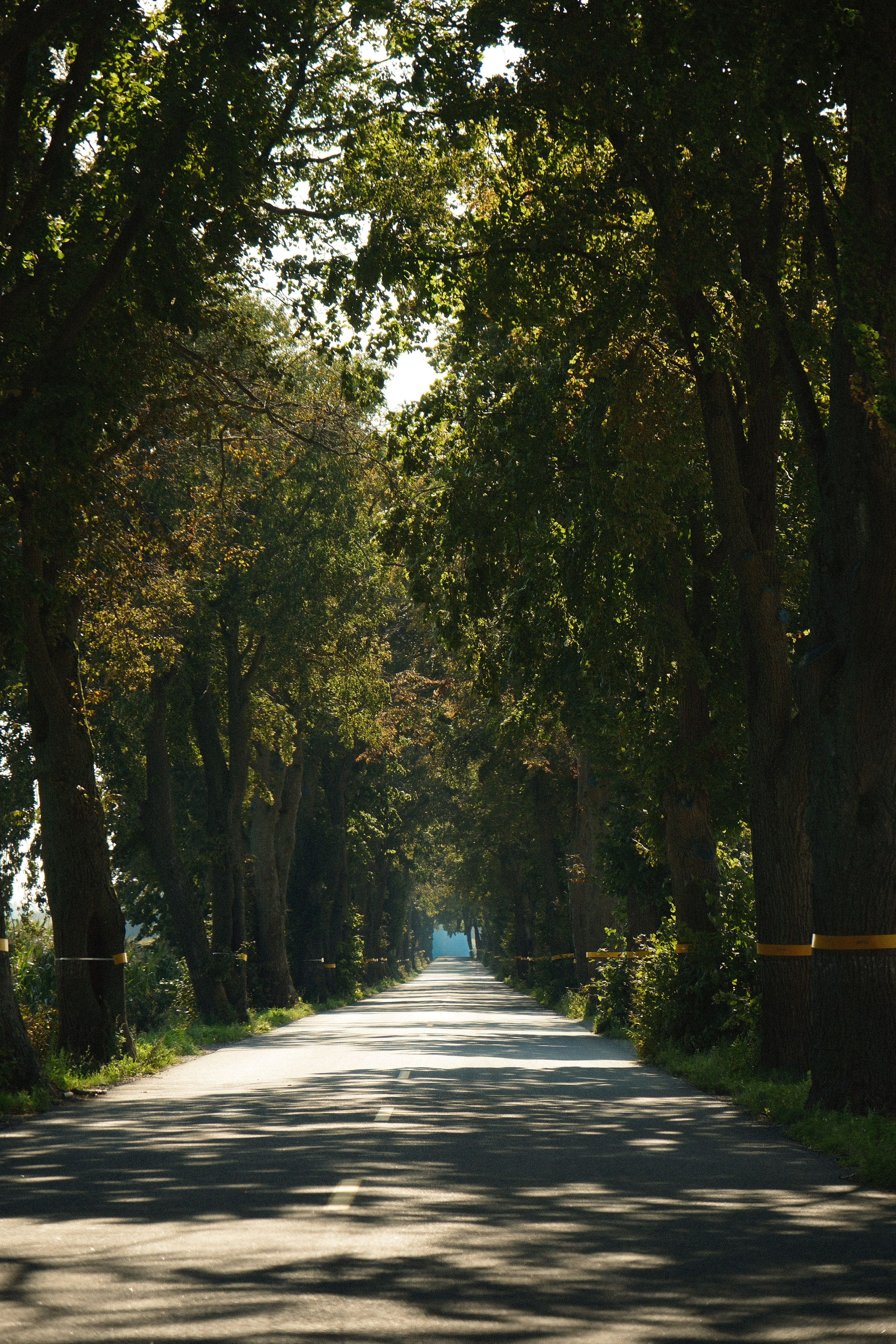 Koenigsberg. M. Neizvestniy — уличная и спортивная фотография