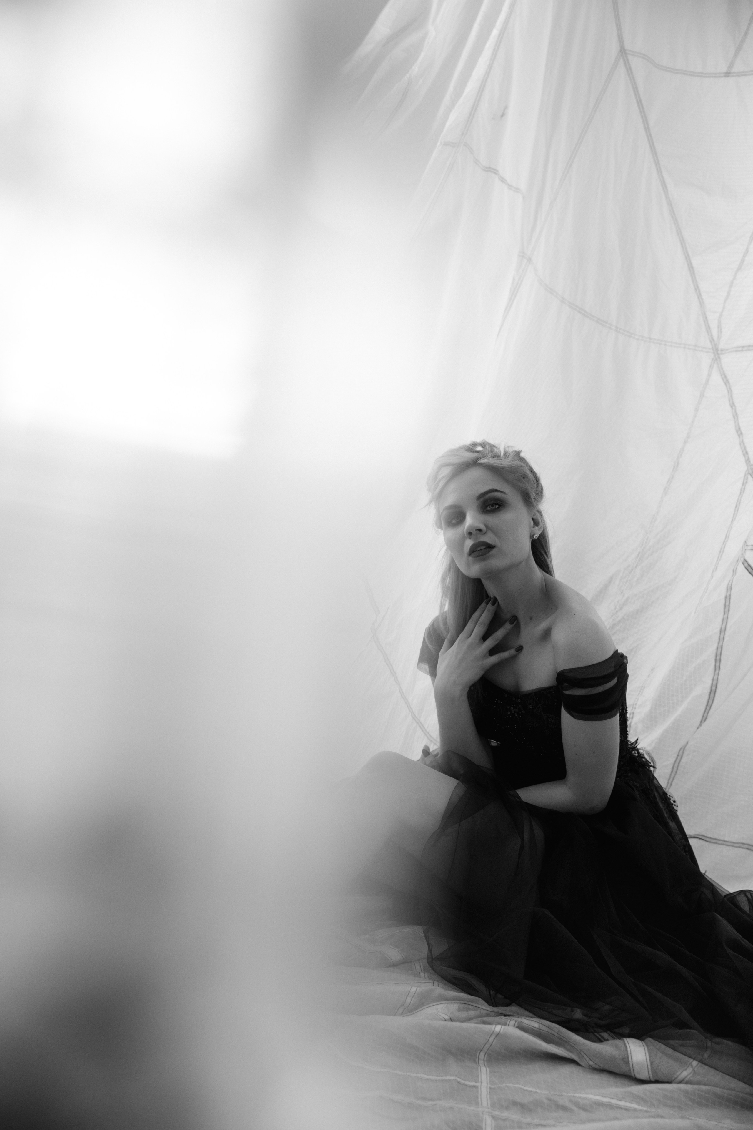 Black swan. Фотограф Сергеева Анна