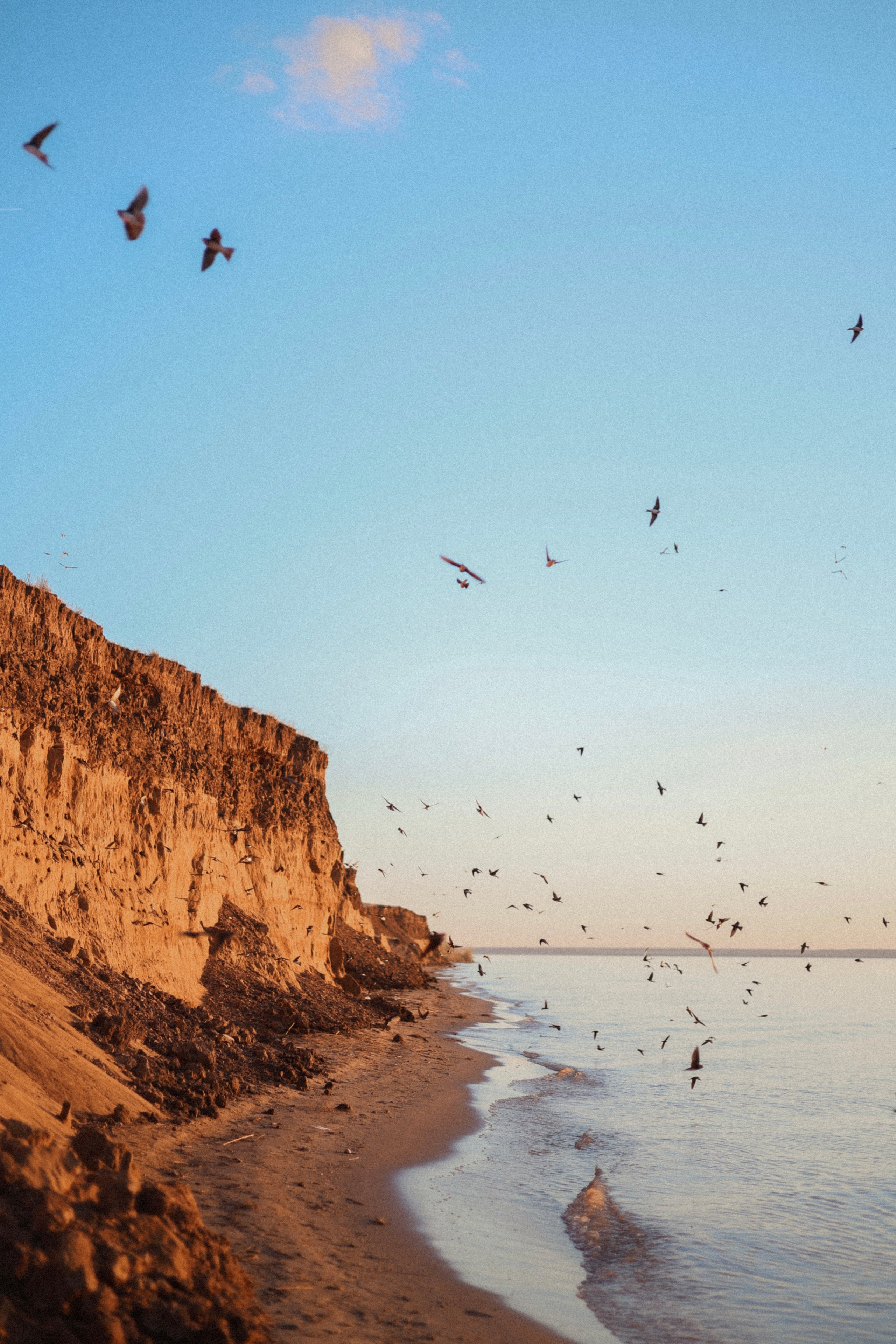Виктория. Фотограф Елизавета Наумова