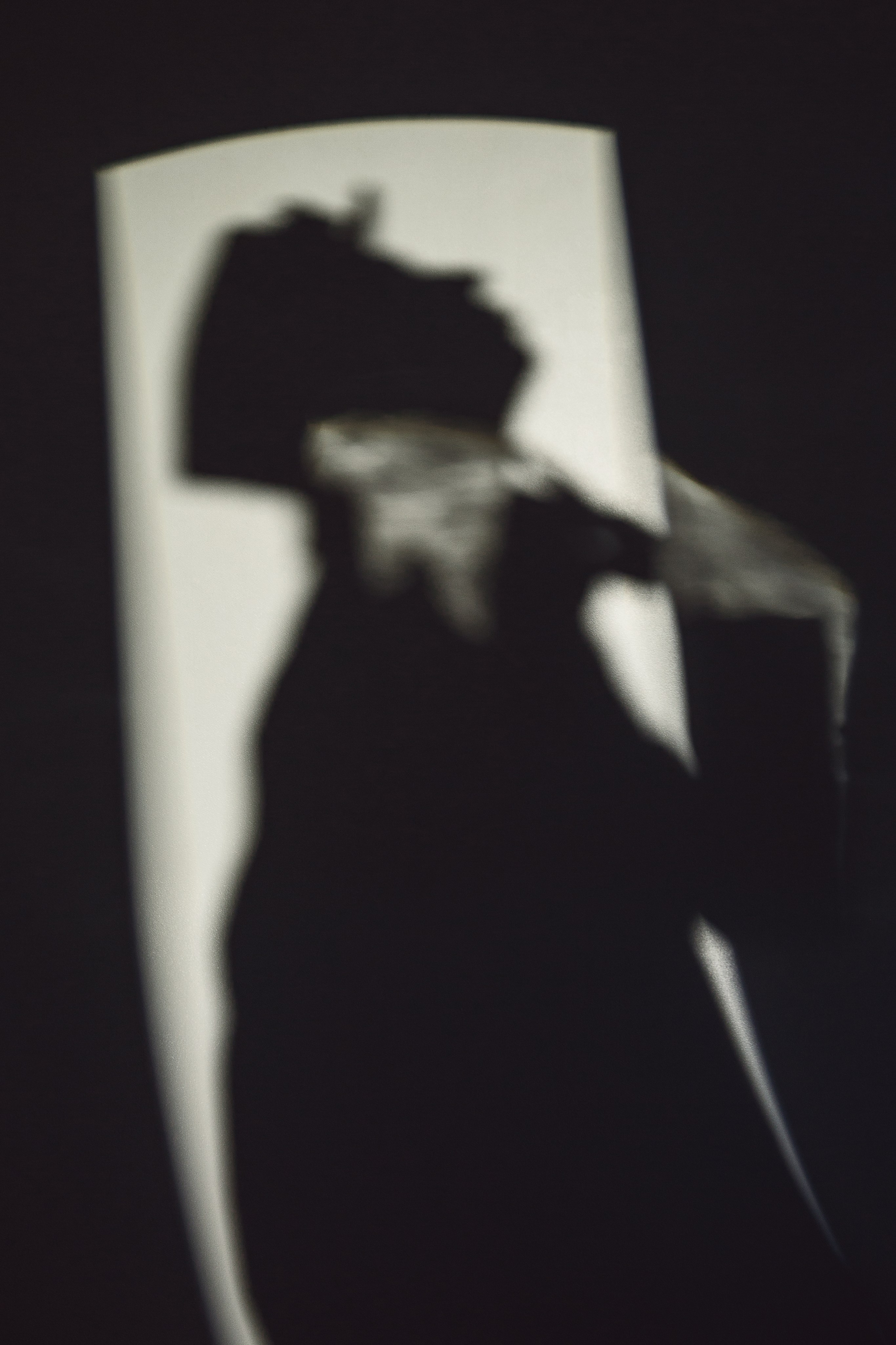 LookBook Summer2023 for CROKI. Photographer Anna Arzamastseva