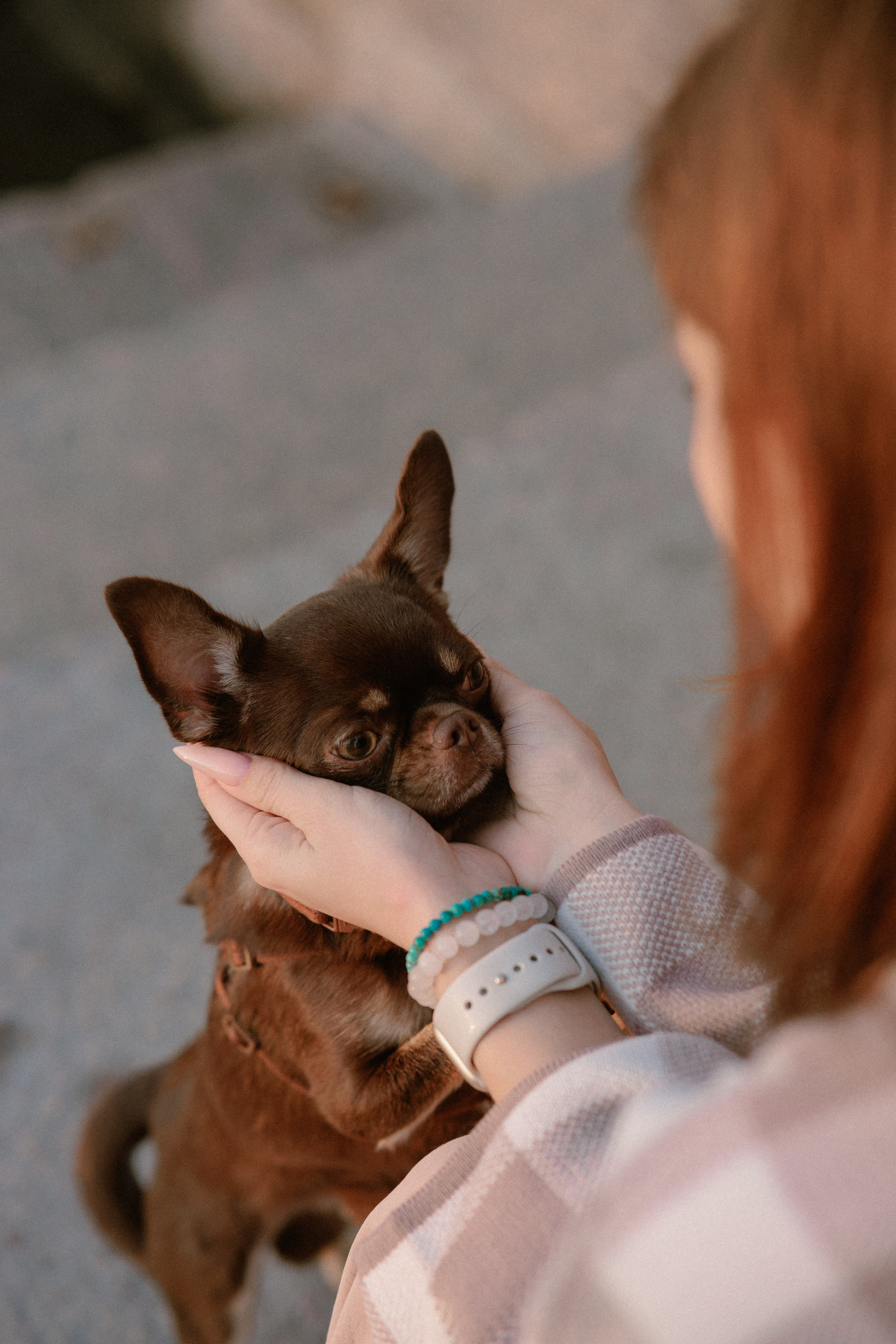 Анна и Хиппи. Фотограф в Санкт-Петербурге Алёна Губинская