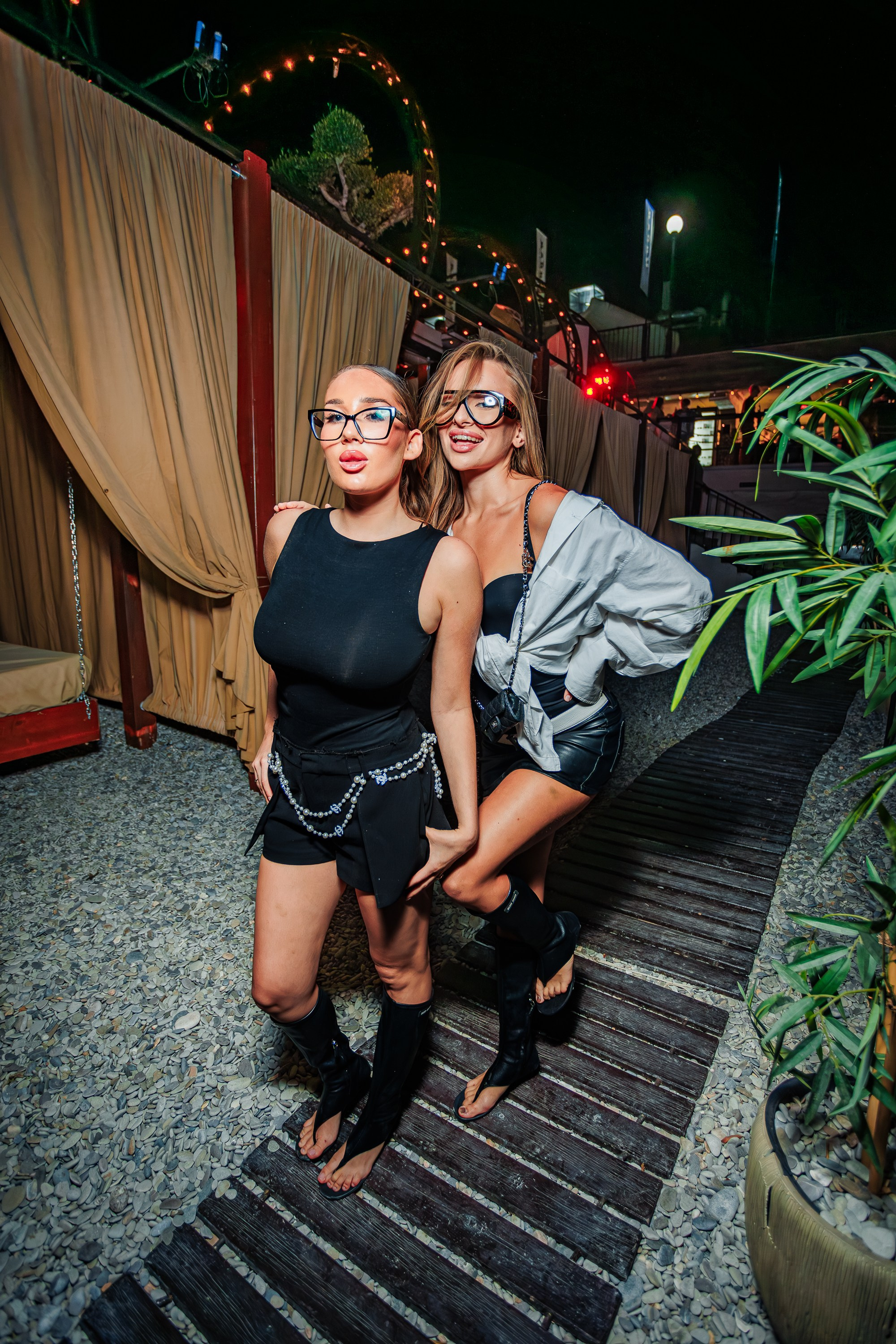 «Митя Фомин"_Чайка на пляже_Ялта_28.06.2025 г. Аминов Руслан | Фотограф