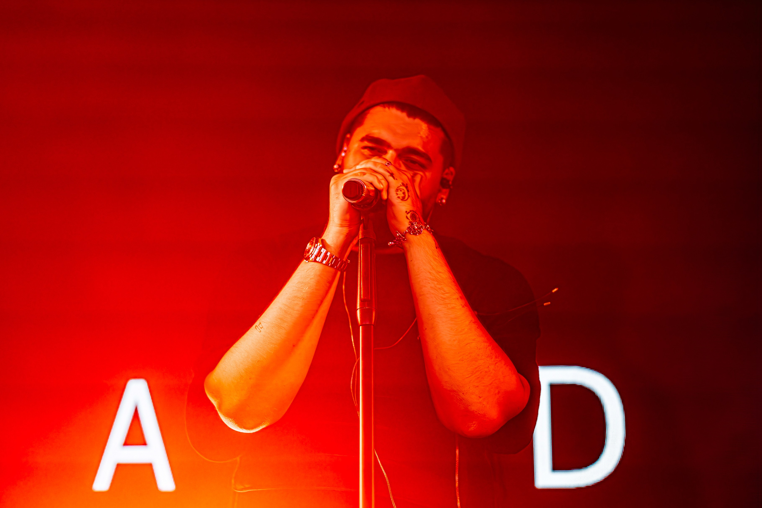 Чайка_на_пляже_Андро_Ялта_24.08.2024. Аминов Руслан | Фотограф