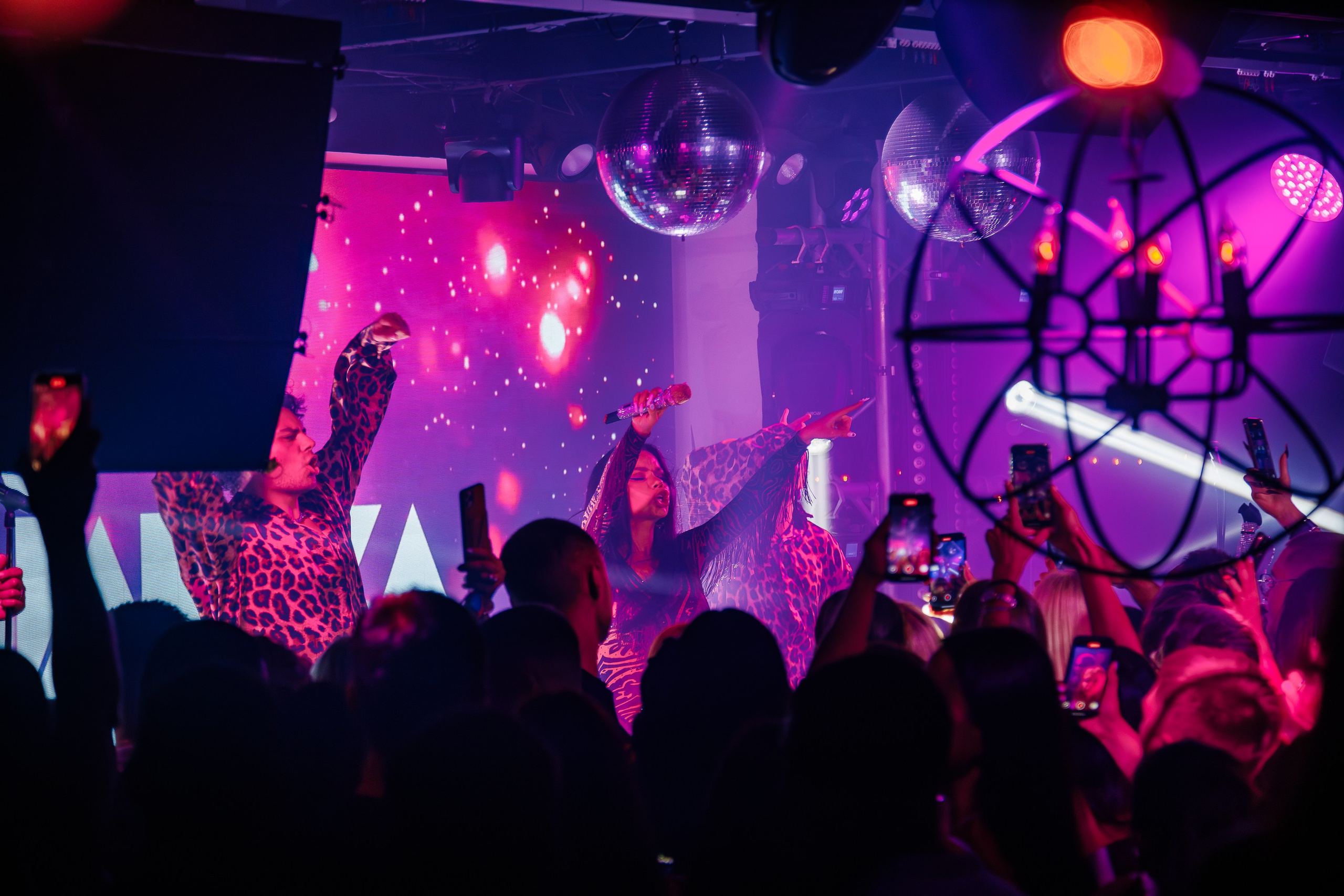 «Бьянка"_Чайка на пляже_Ялта_25.07.2025 г. Аминов Руслан | Фотограф