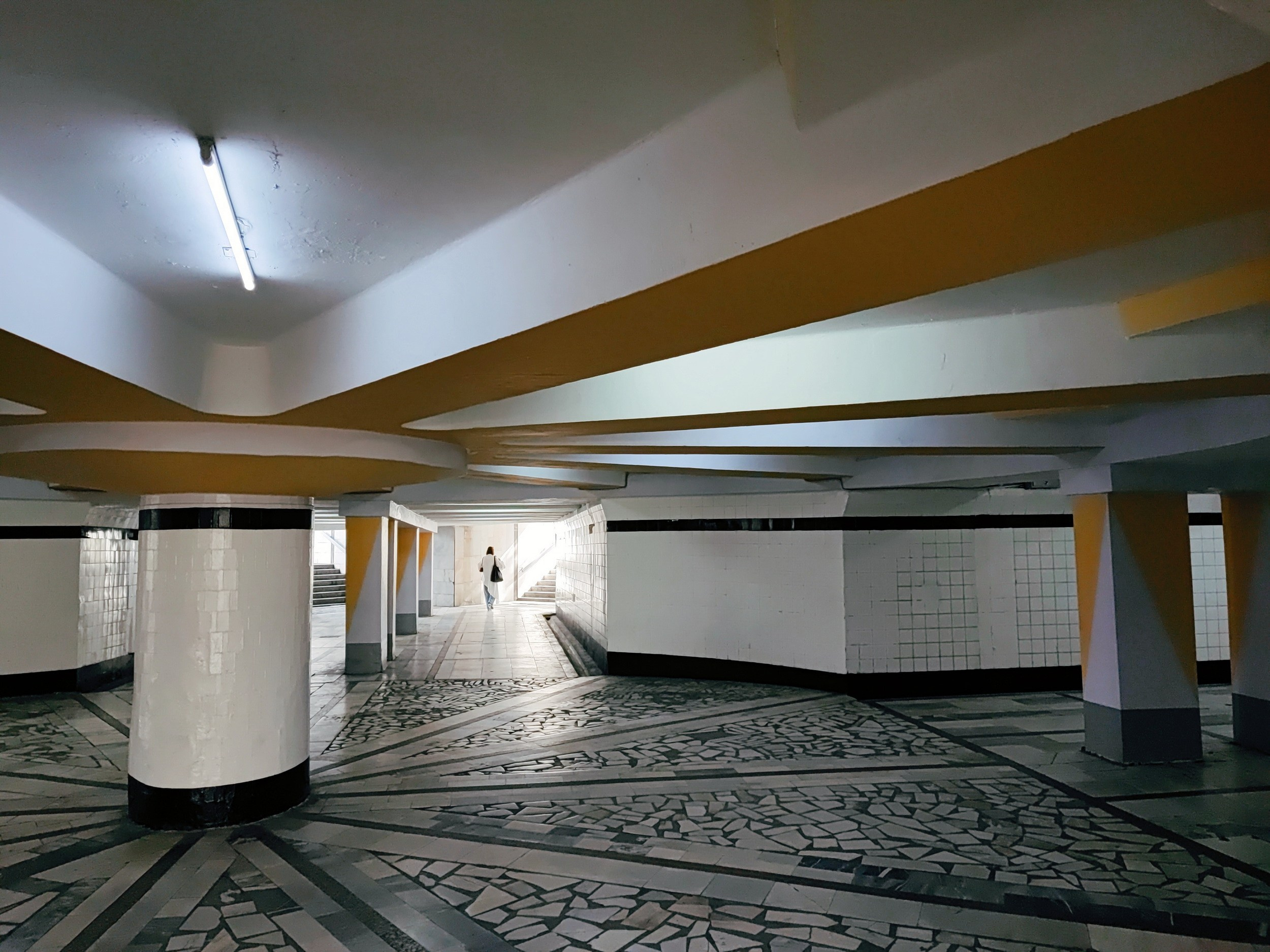 Намобилкус узбекский. Репортажный фотограф Алексей Пирязев