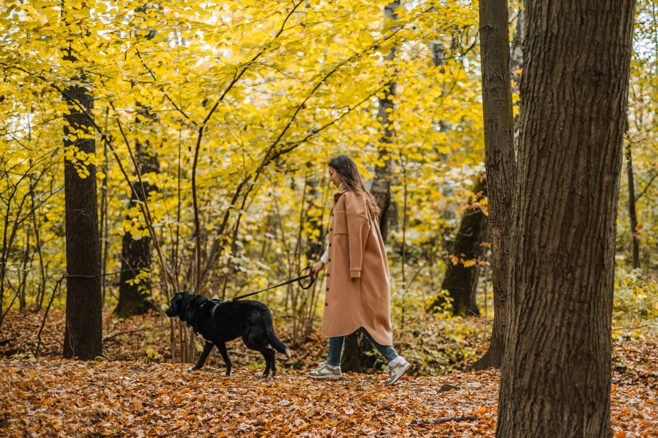 Юля и Фортуна. Фотограф-анималист Татьяна Степанова