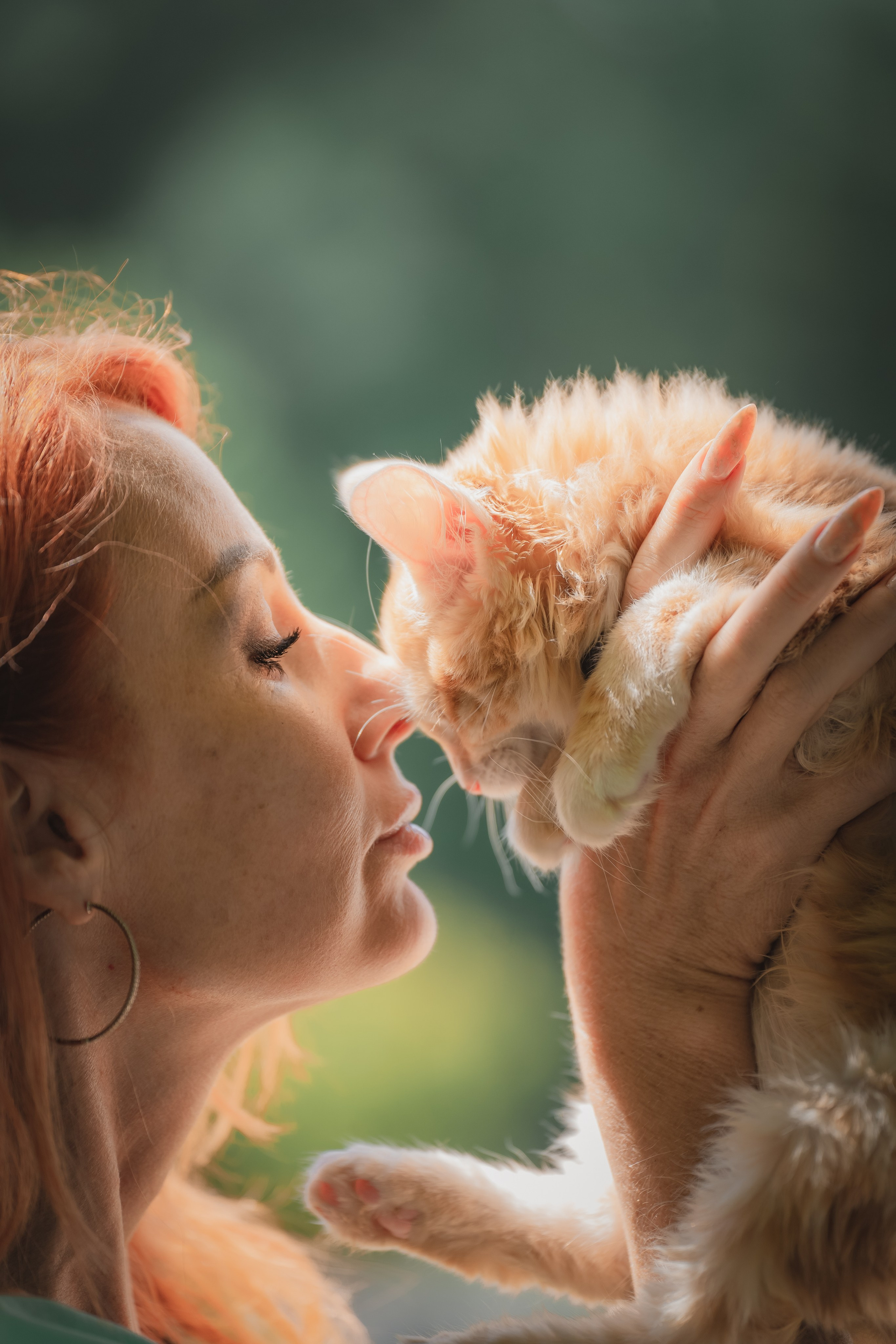 Питомник Курильских бобтейлов. Фотограф в Москве Ленарская Дарья
