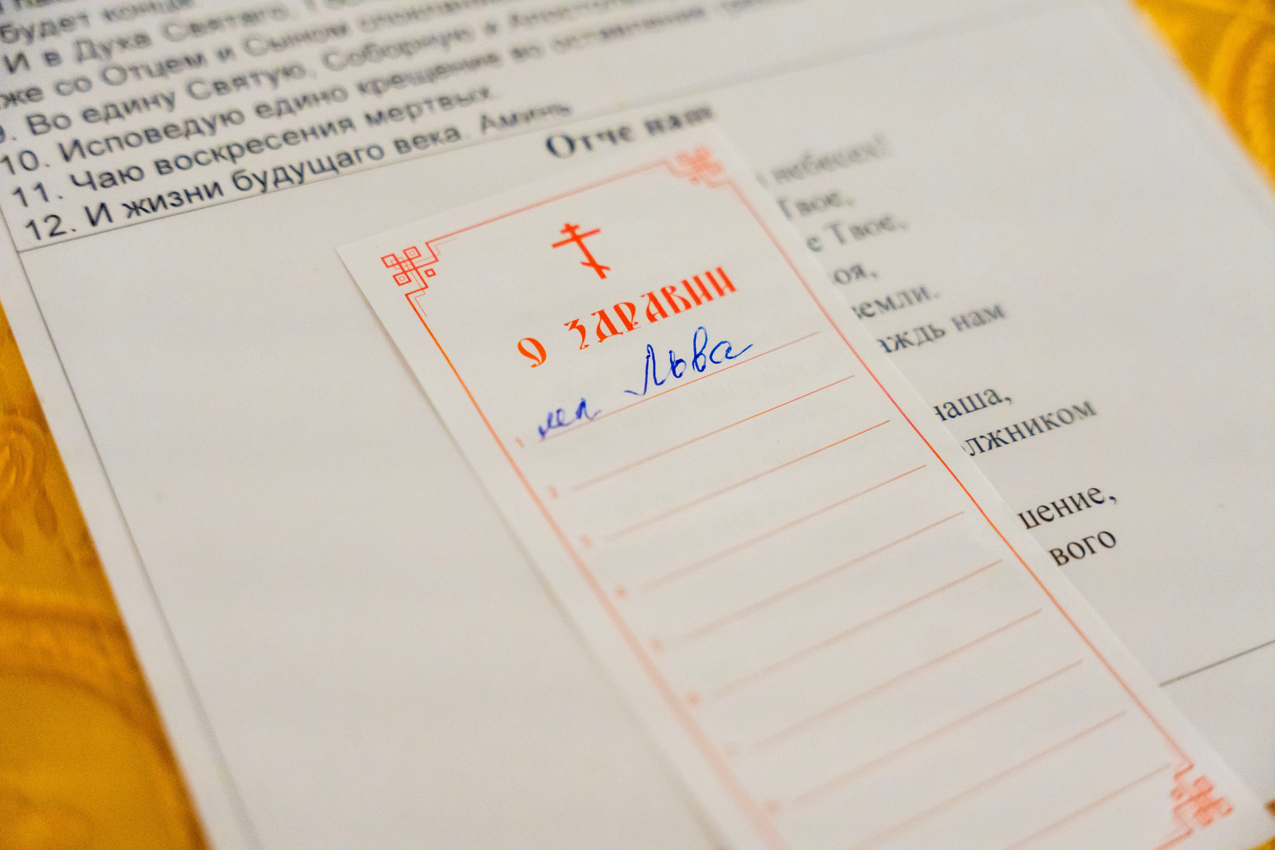 Крещение Льва. Фотограф Юлия Попова