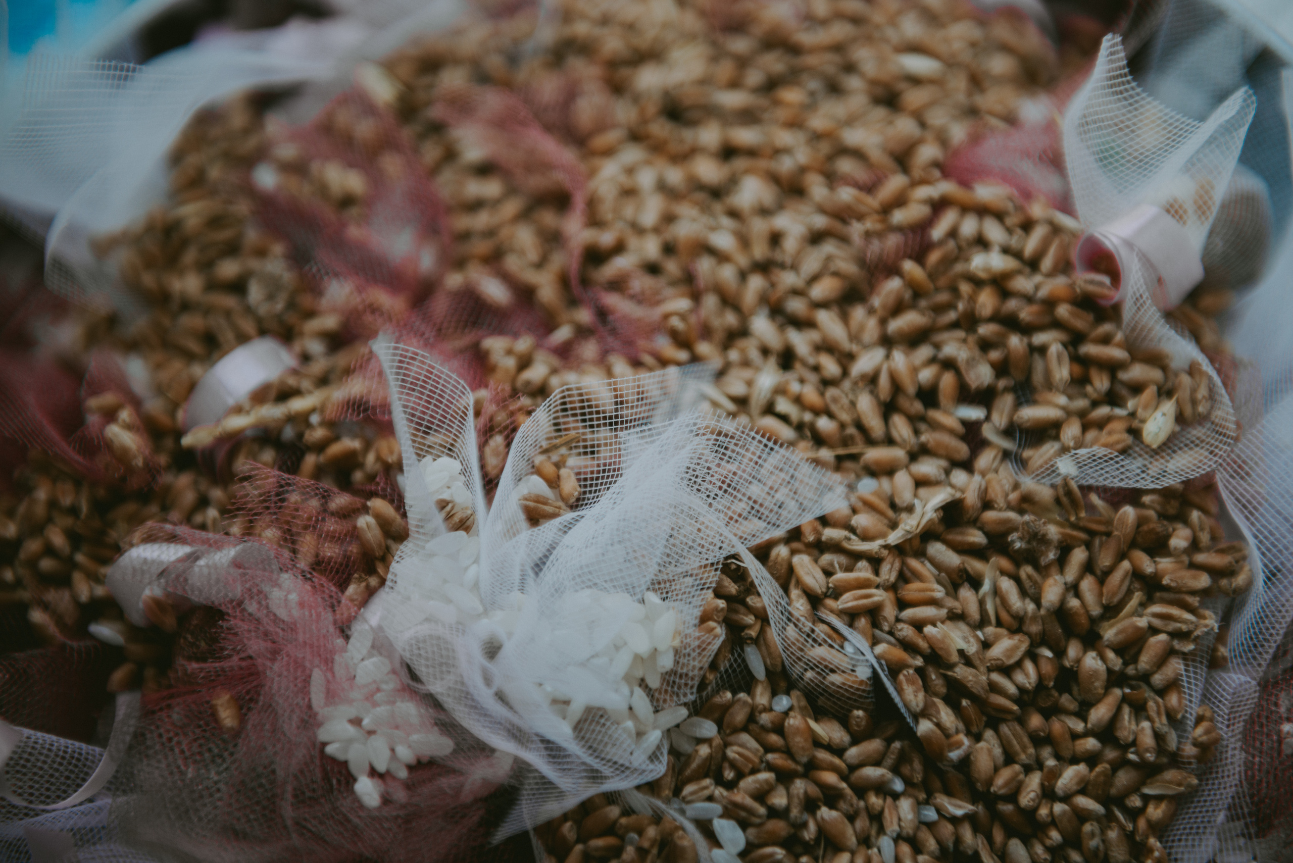 Юлия&Роман фотограф Михаил Горбач. Свадебный и семейный фотограф город Темрюк Фотостудия Темрюк