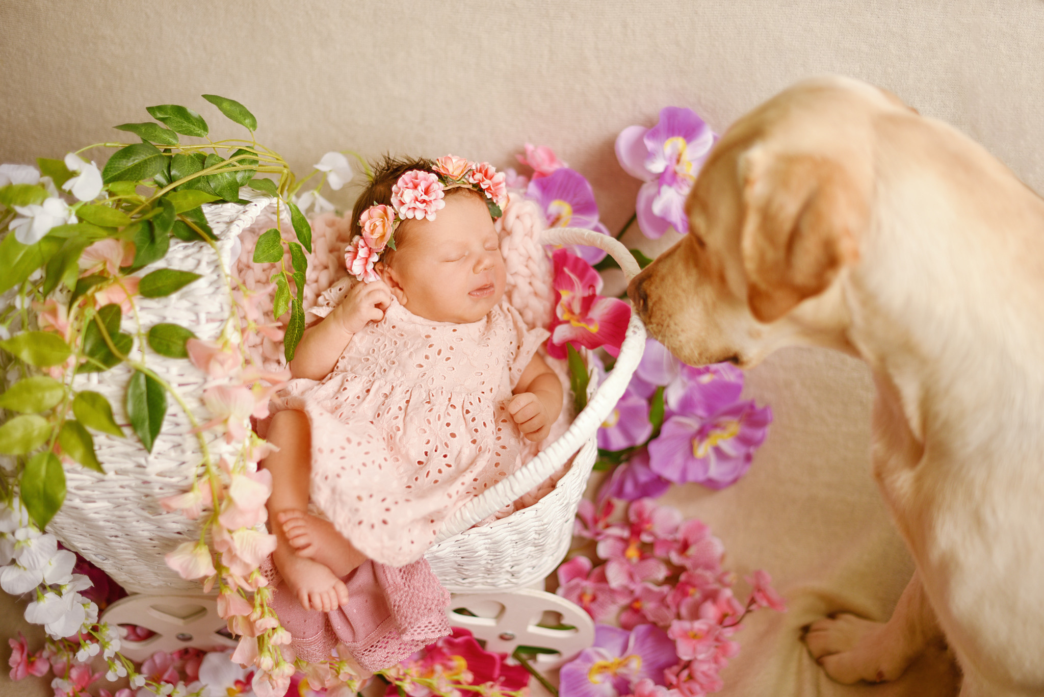 Фотограф новорожденных Брянск детский фотограф в Брянске семейныф фотограф ньюборн в Брянске фотосессия для новорожденных в Брянске роддом брянск перенатальный центр брянск роддом номер 2 брянск новорожденный брянск дети блогер брянск мамочки брянска newborn Брянск дети модели Брянск цветы брянск фотопроект фотопроекты брянск фотодень фотограф на выписку брянск фотограф в роддоме Брянск красивые младенцы малыши маленькие дети брянск день рождение первенец один годик 1 год первый тортик первая фотосессия фотограф новорожденных Анастасия Алексеева фотограф Брянск