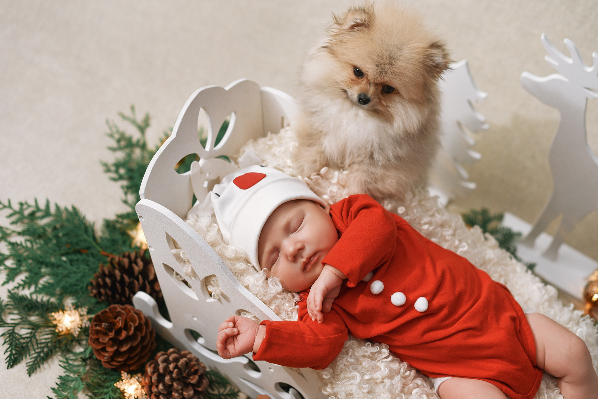 Фотограф новорожденных Брянск детский фотограф в Брянске семейныф фотограф ньюборн в Брянске фотосессия для новорожденных в Брянске роддом брянск перенатальный центр брянск роддом номер 2 брянск новорожденный брянск дети блогер брянск мамочки брянска newborn Брянск дети модели Брянск цветы брянск фотопроект фотопроекты брянск фотодень фотограф на выписку брянск фотограф в роддоме Брянск красивые младенцы малыши маленькие дети брянск день рождение первенец один годик 1 год первый тортик первая фотосессия фотограф новорожденных Анастасия Алексеева фотограф Брянск