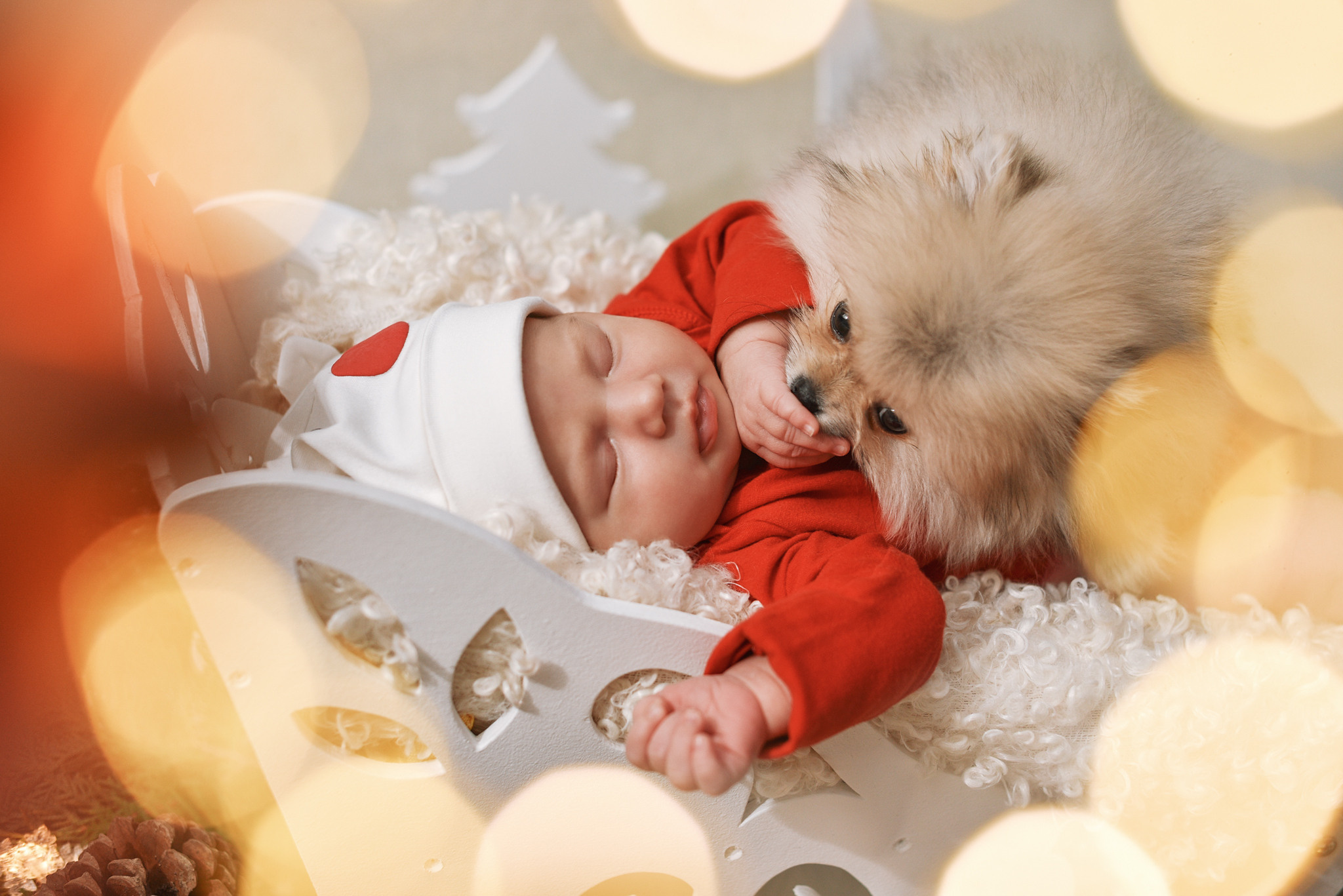 Фотограф новорожденных Брянск детский фотограф в Брянске семейныф фотограф ньюборн в Брянске фотосессия для новорожденных в Брянске роддом брянск перенатальный центр брянск роддом номер 2 брянск новорожденный брянск дети блогер брянск мамочки брянска newborn Брянск дети модели Брянск цветы брянск фотопроект фотопроекты брянск фотодень фотограф на выписку брянск фотограф в роддоме Брянск красивые младенцы малыши маленькие дети брянск день рождение первенец один годик 1 год первый тортик первая фотосессия фотограф новорожденных Анастасия Алексеева фотограф Брянск