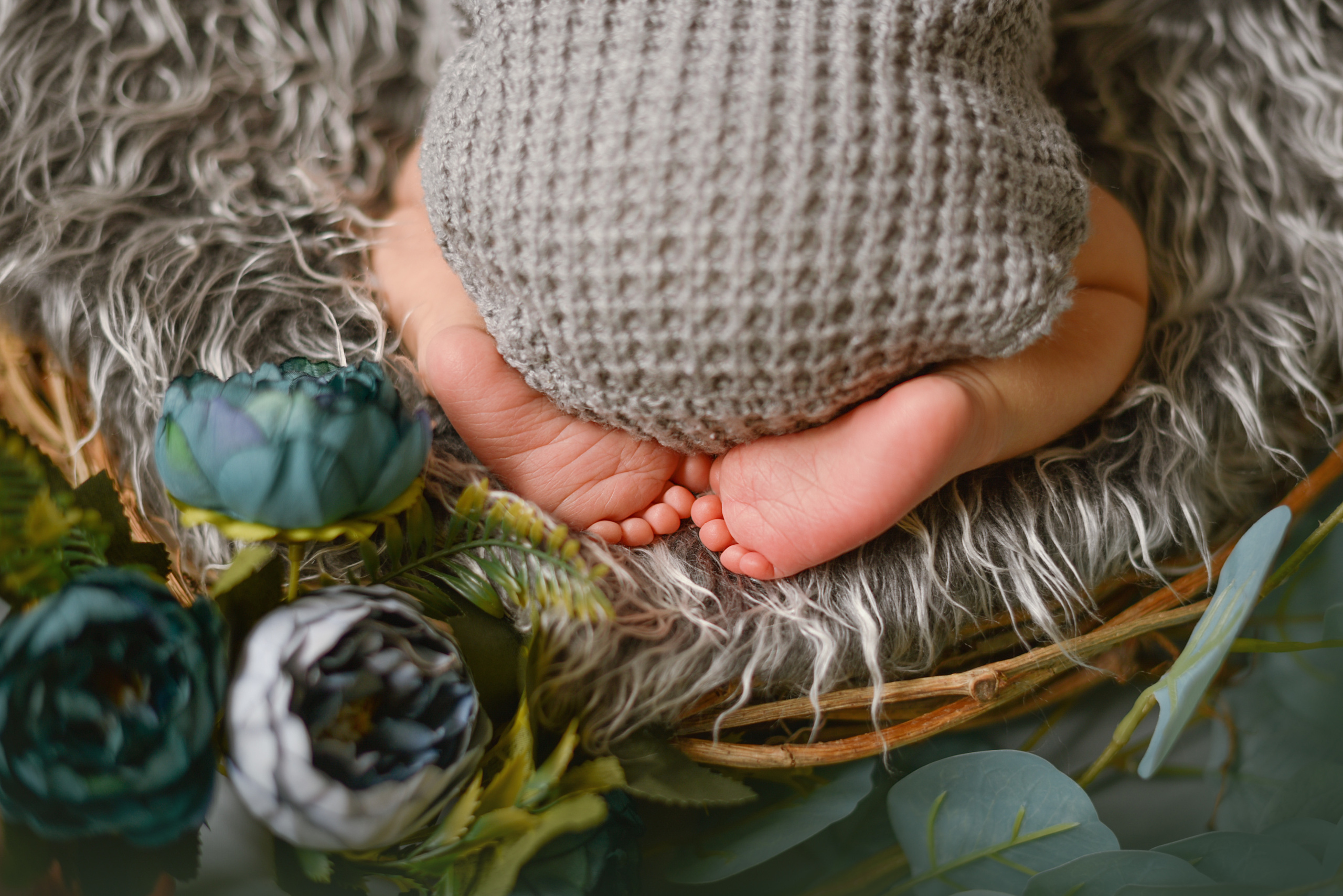 Фотограф новорожденных Брянск детский фотограф в Брянске семейныф фотограф ньюборн в Брянске фотосессия для новорожденных в Брянске роддом брянск перенатальный центр брянск роддом номер 2 брянск новорожденный брянск дети блогер брянск мамочки брянска newborn Брянск дети модели Брянск цветы брянск фотопроект фотопроекты брянск фотодень фотограф на выписку брянск фотограф в роддоме Брянск красивые младенцы малыши маленькие дети брянск день рождение первенец один годик 1 год первый тортик первая фотосессия фотограф новорожденных Анастасия Алексеева фотограф Брянск