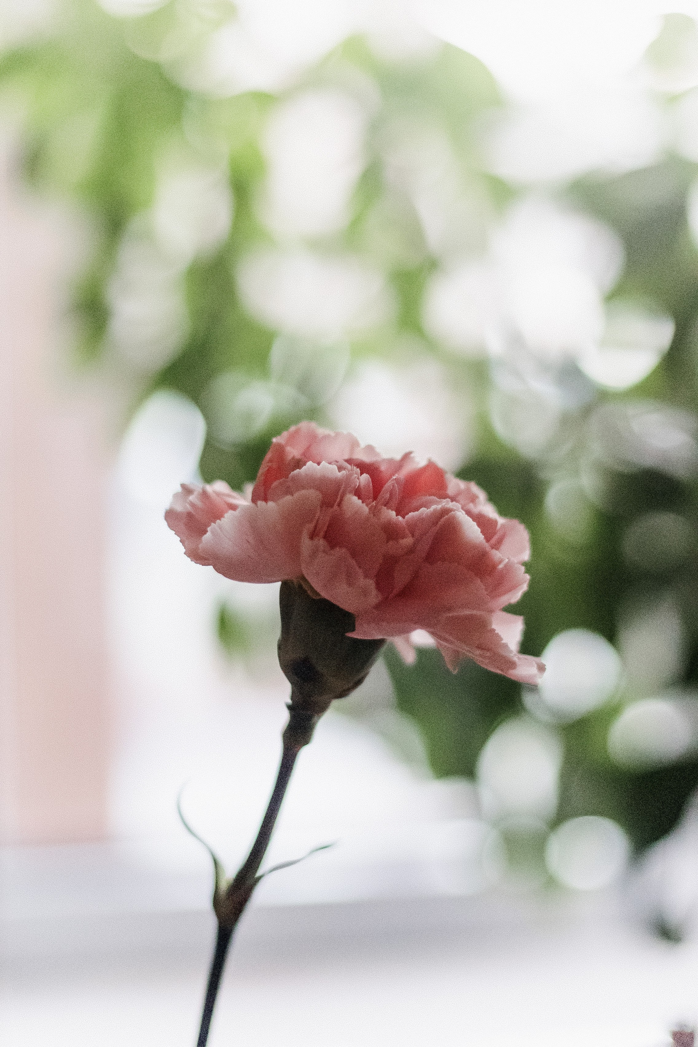 О ЧЕМ МОЛЧАТ МУЖЧИНЫ. СВОИ. ФОТООТЧЕТЫ-СОБЫТИЯ-МЕСТА