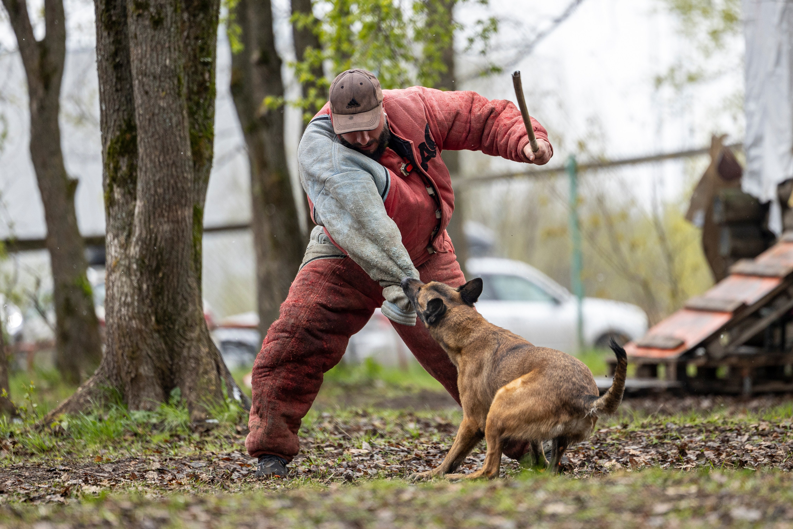 Квалификационные состязания по мондьорингу г. Вологда 11.05.24. Фотограф-анималист Анна Маринич