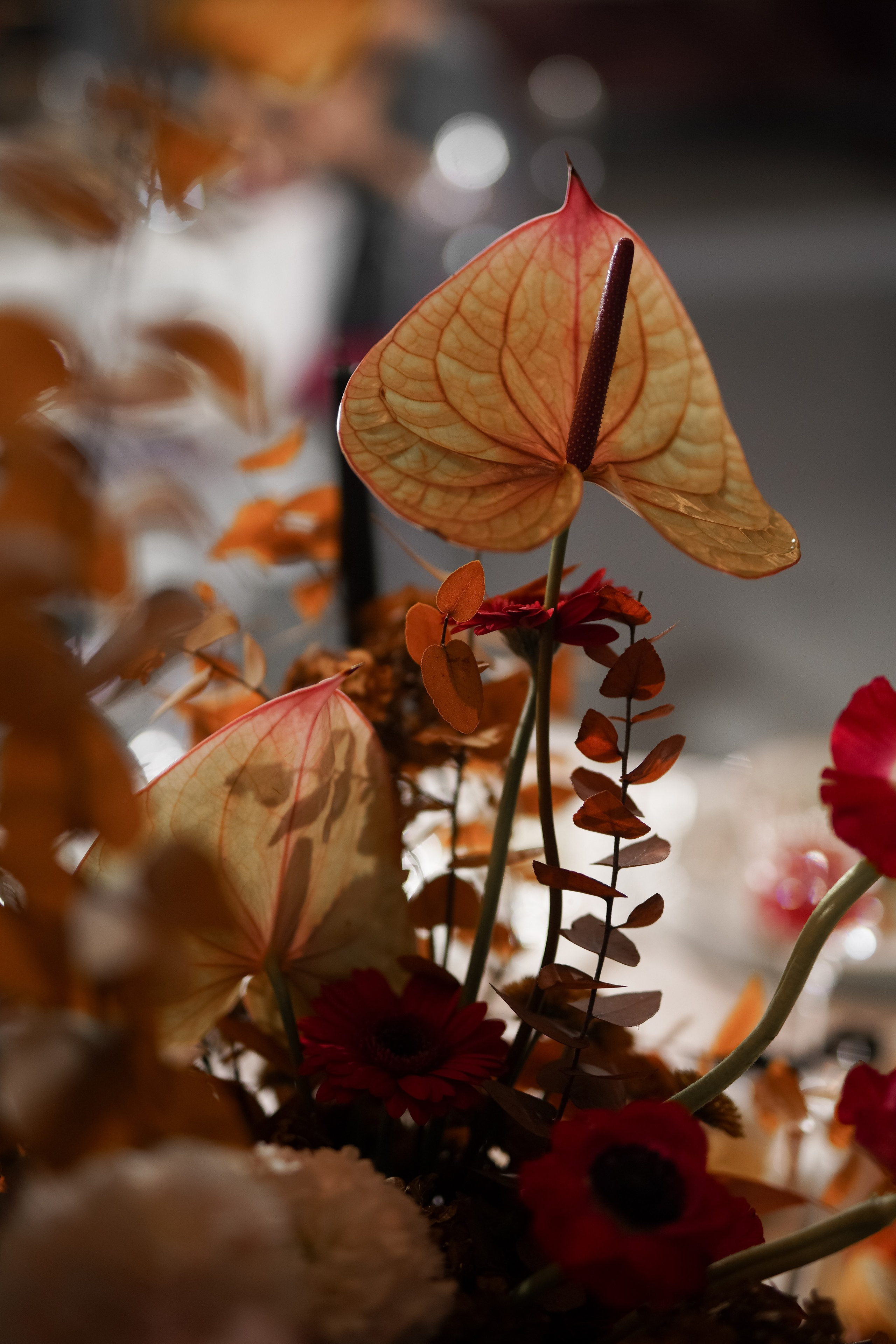 Валерия и Денис. Свадебный фотограф Марина Попова