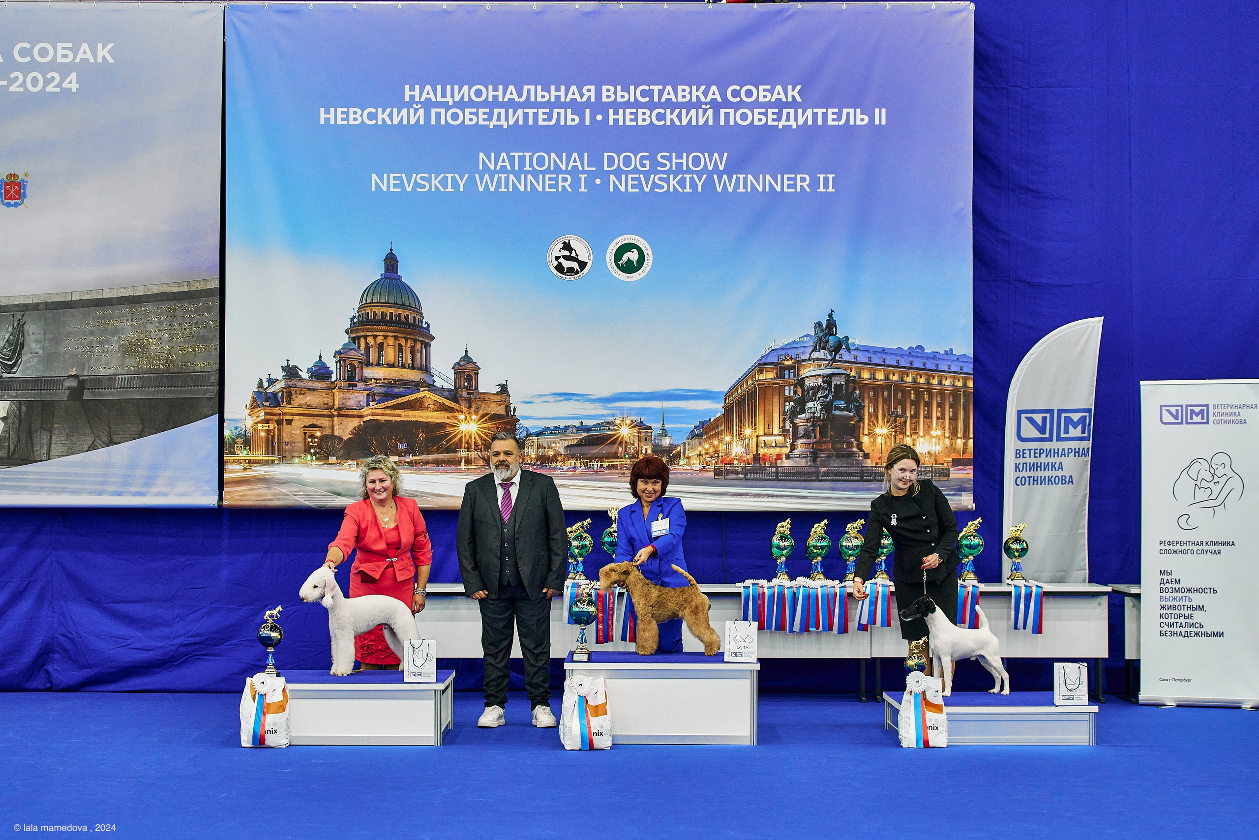 РЕЙТИНГОВАЯ ВЫСТАВКА СОБАК ВСЕХ ПОРОД С ОСОБЫМ СТАТУСОМ"НЕВСКИЙ ПОБЕДИТЕЛЬ-2024-2"