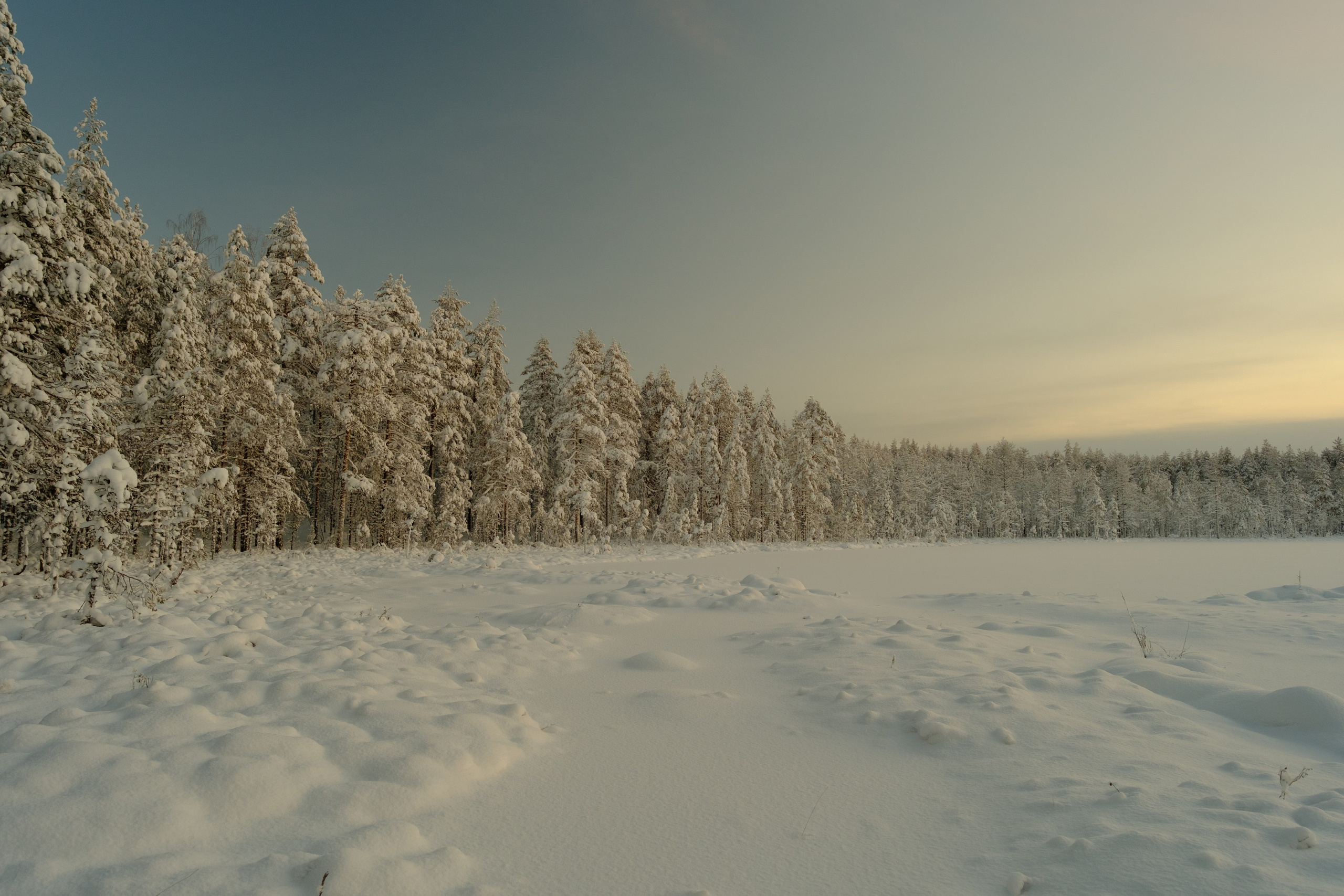 Пейзаж. Портретный фотограф Виктор Льерена