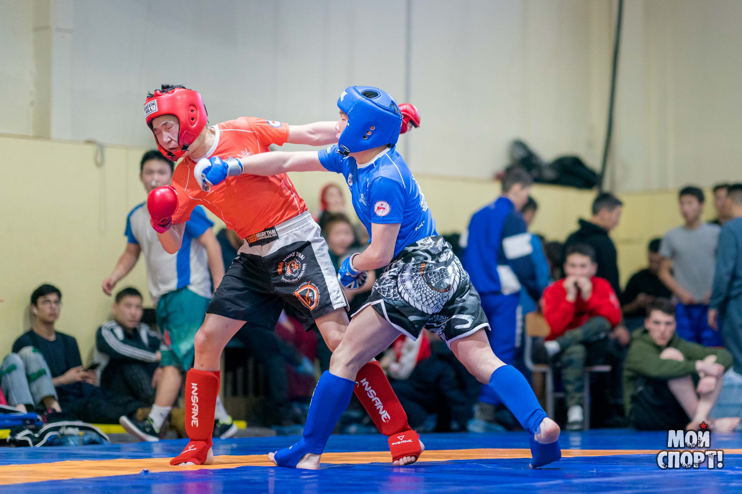 Первенство и Чемпионат РС (Я) по панкратиону. Студия «Мой Спорт!» — все о спорте в Якутии