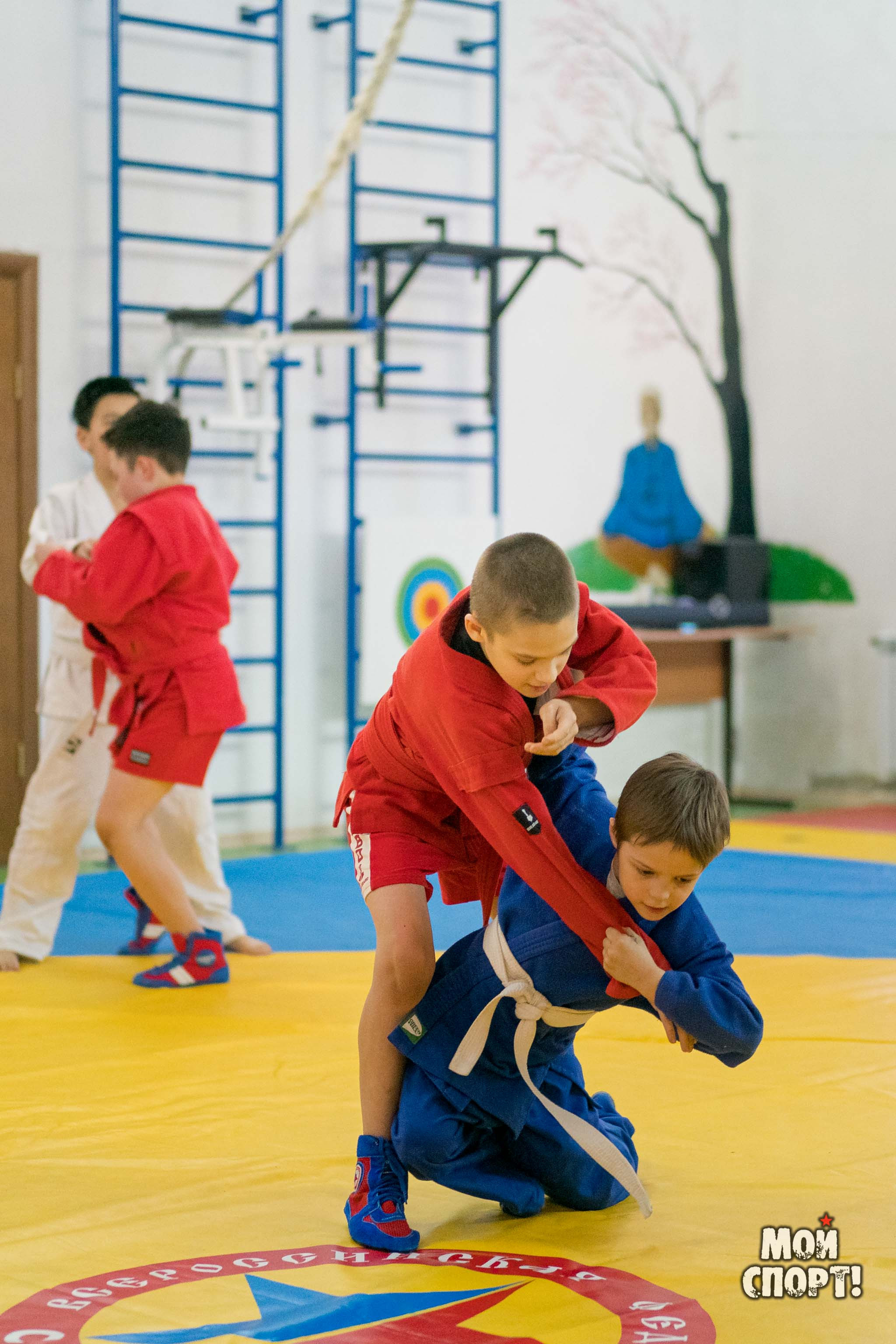 Тренировки по самбо в СК «Славутич». Студия «Мой Спорт!» — все о спорте в Якутии