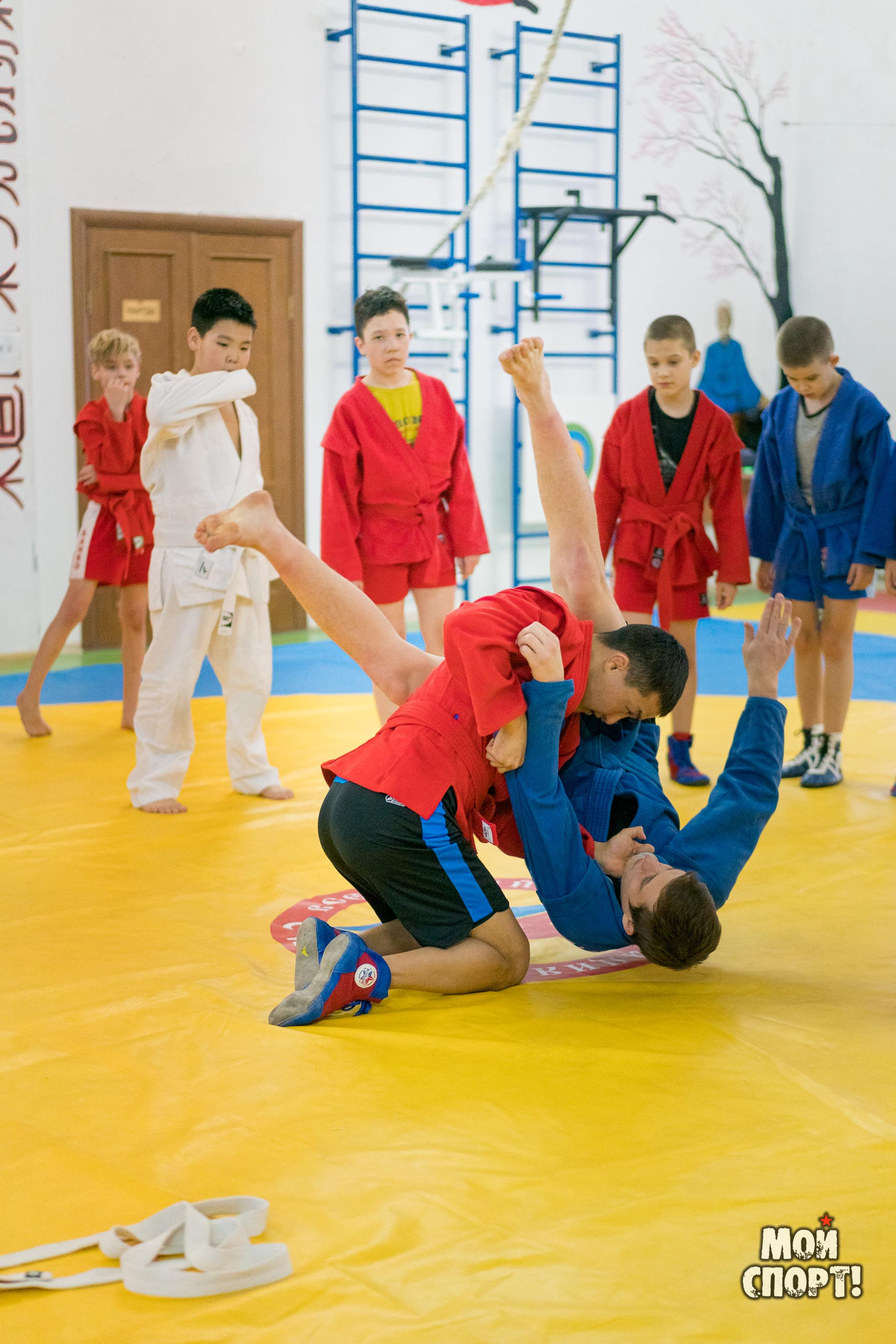Тренировки по самбо в СК «Славутич». Студия «Мой Спорт!» — все о спорте в Якутии