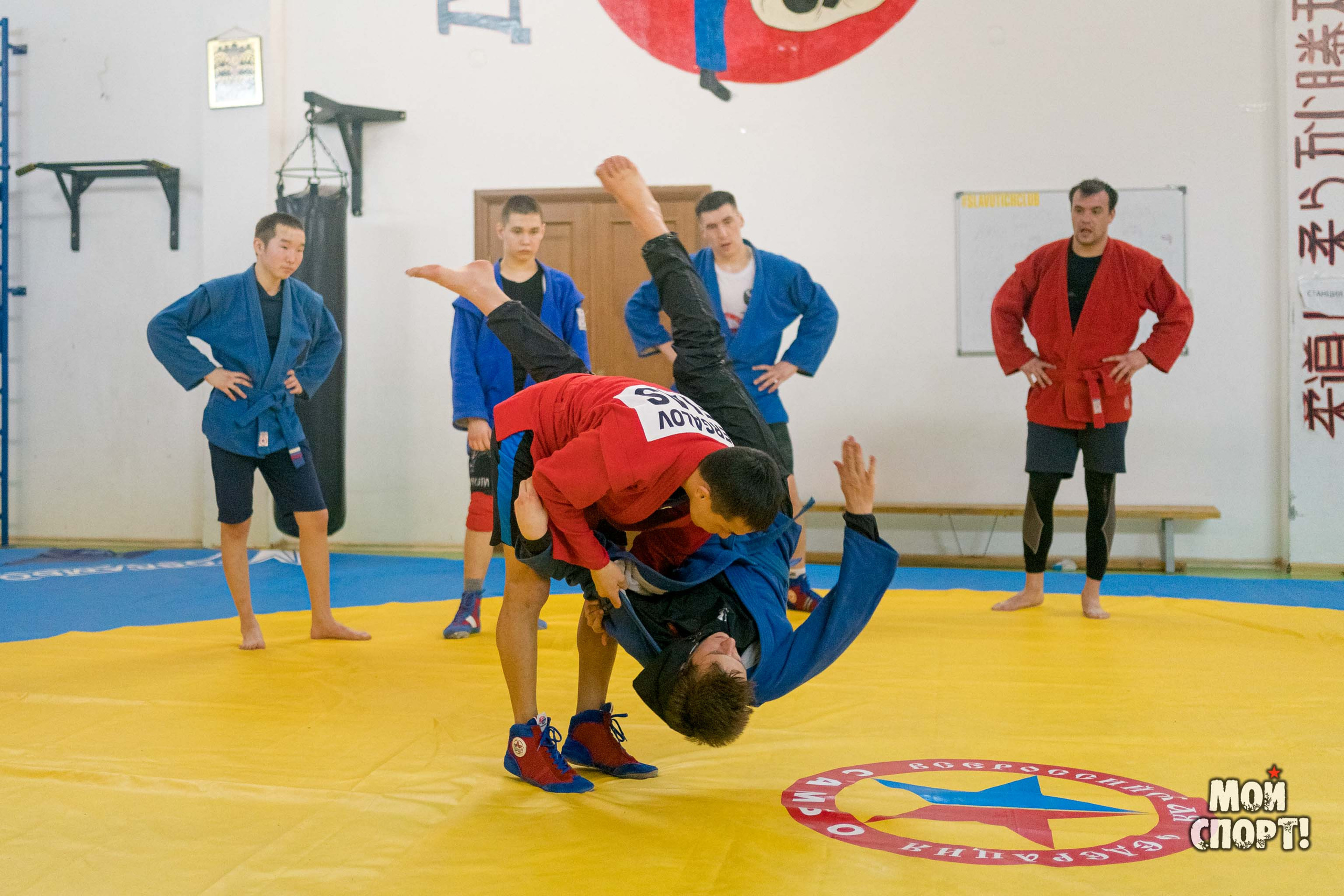 Тренировки по самбо в СК «Славутич». Студия «Мой Спорт!» — все о спорте в Якутии